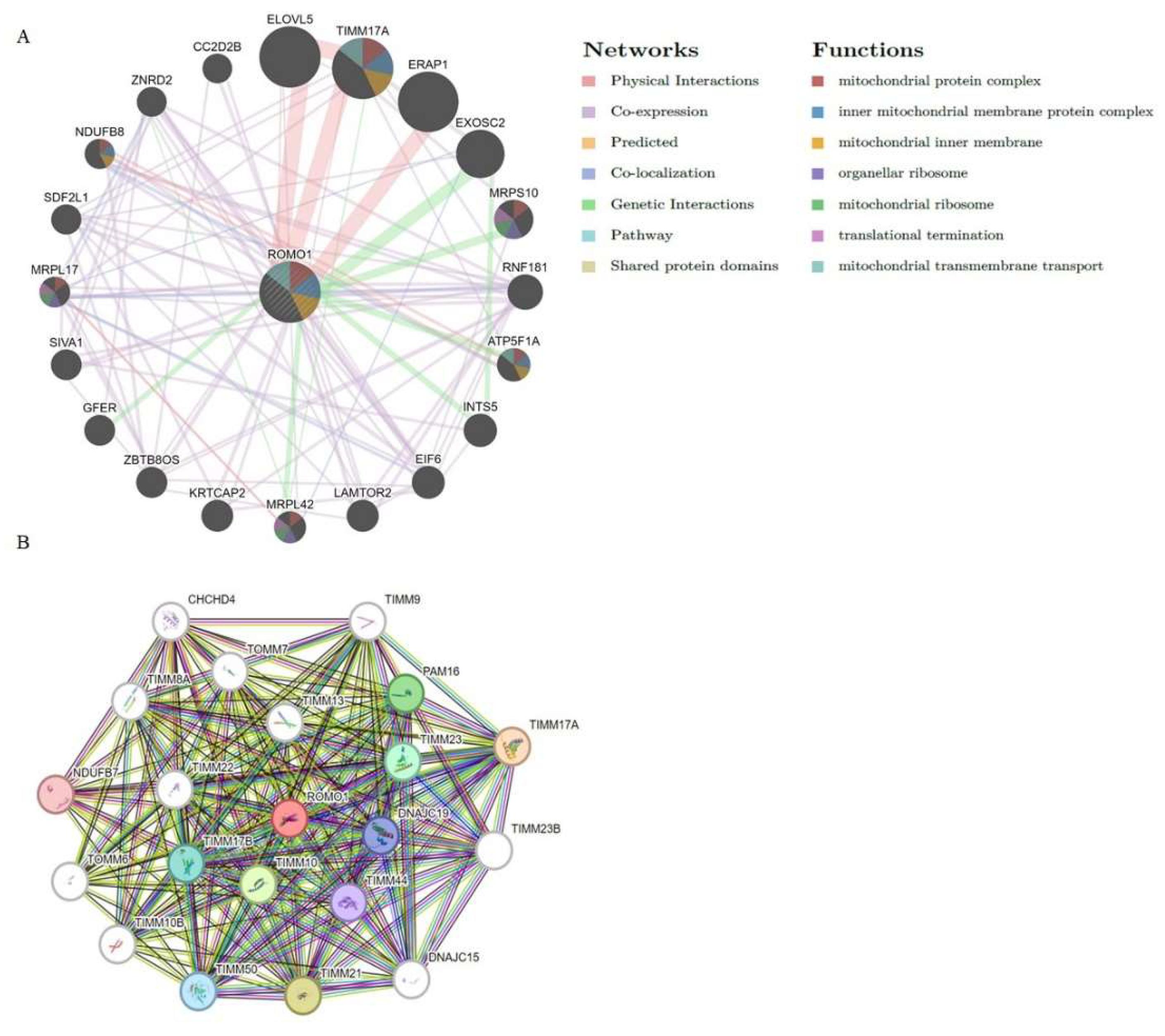 Preprints 140419 g008