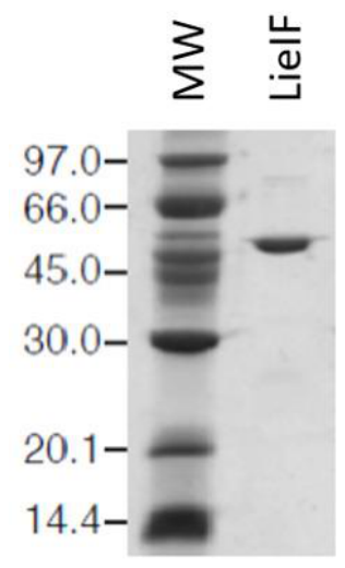 Preprints 227164 g001 Preprints 227164 g001