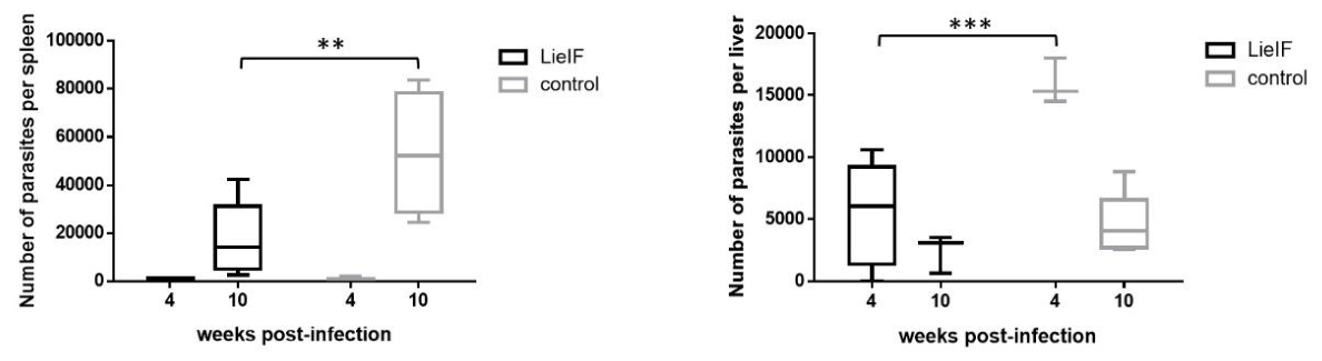 Preprints 227164 g003 Preprints 227164 g003