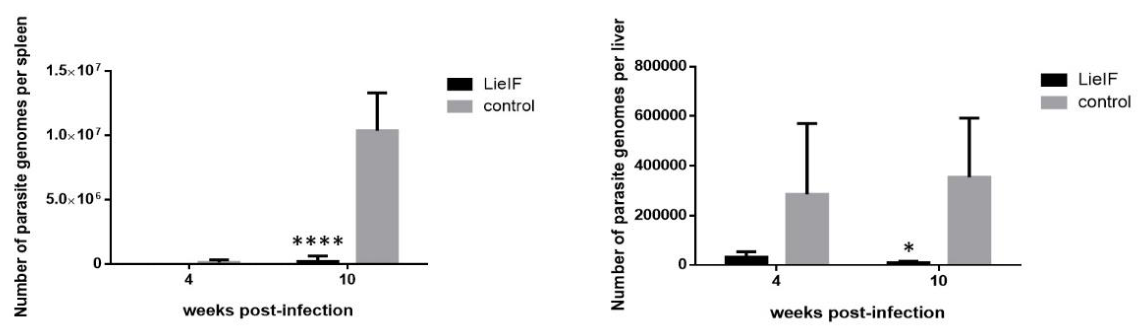 Preprints 227164 g004 Preprints 227164 g004