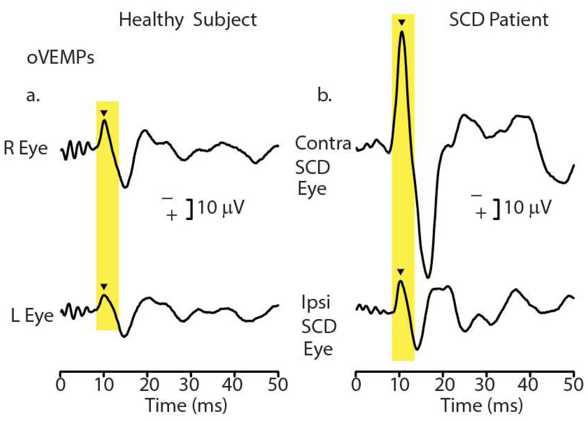 Preprints 88074 g001