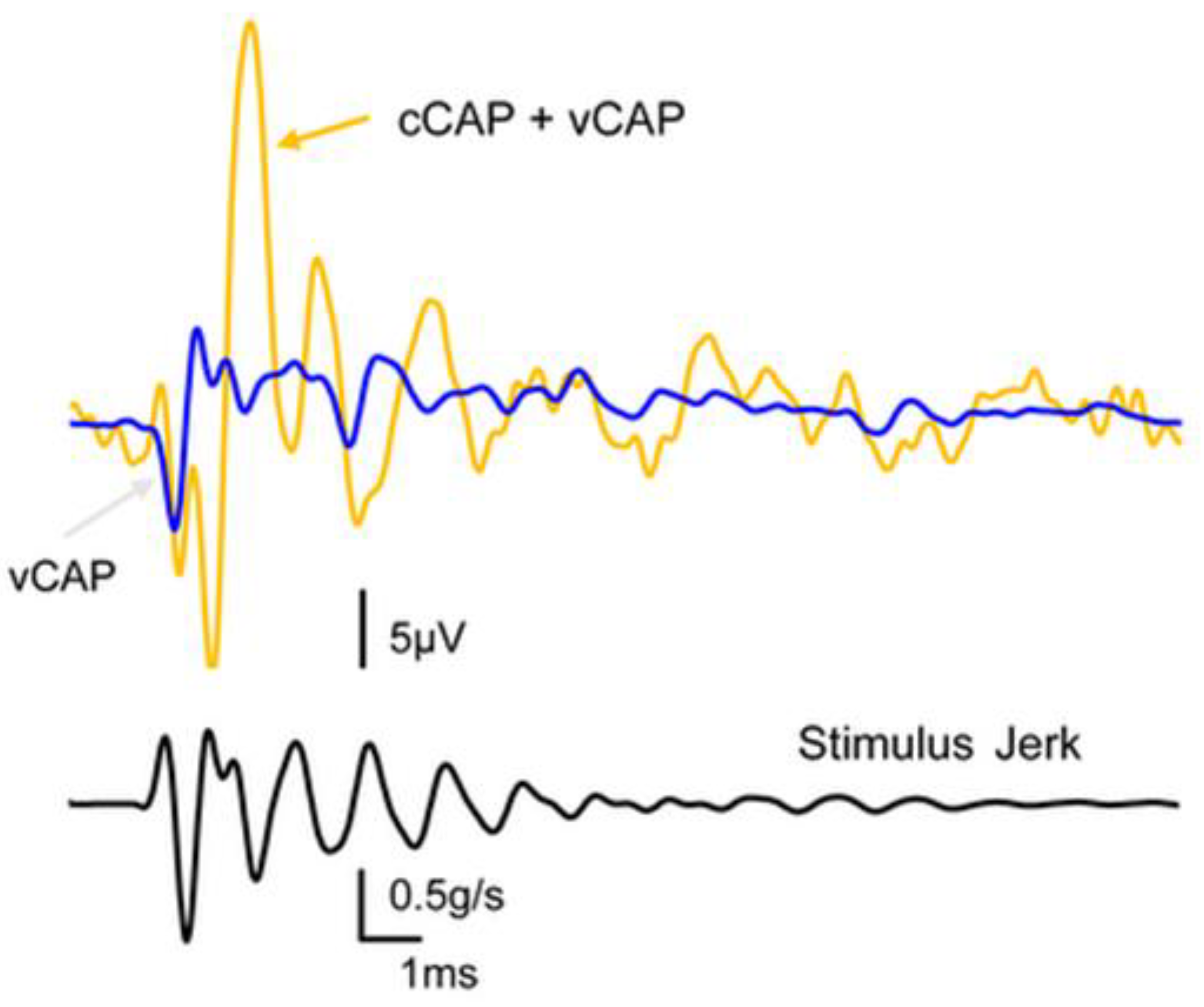 Preprints 88074 g003