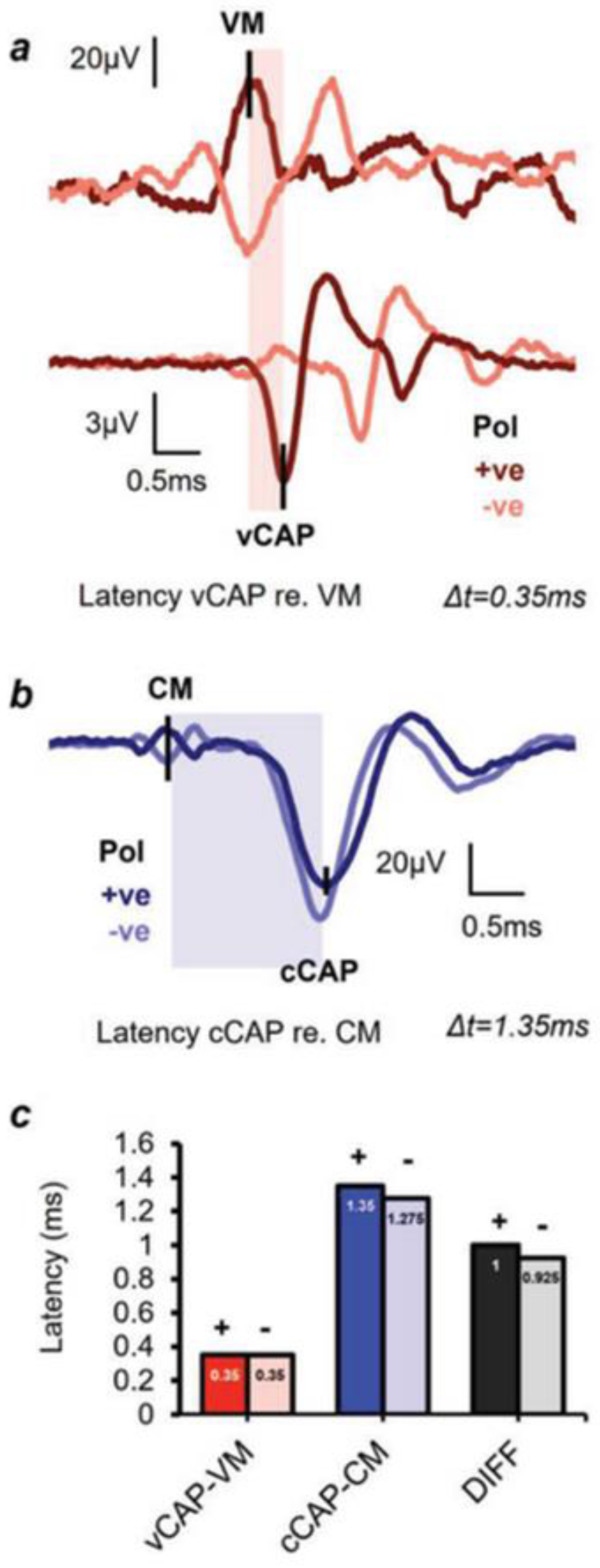 Preprints 88074 g005