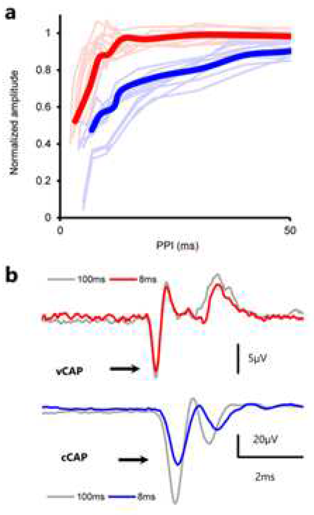 Preprints 88074 g010