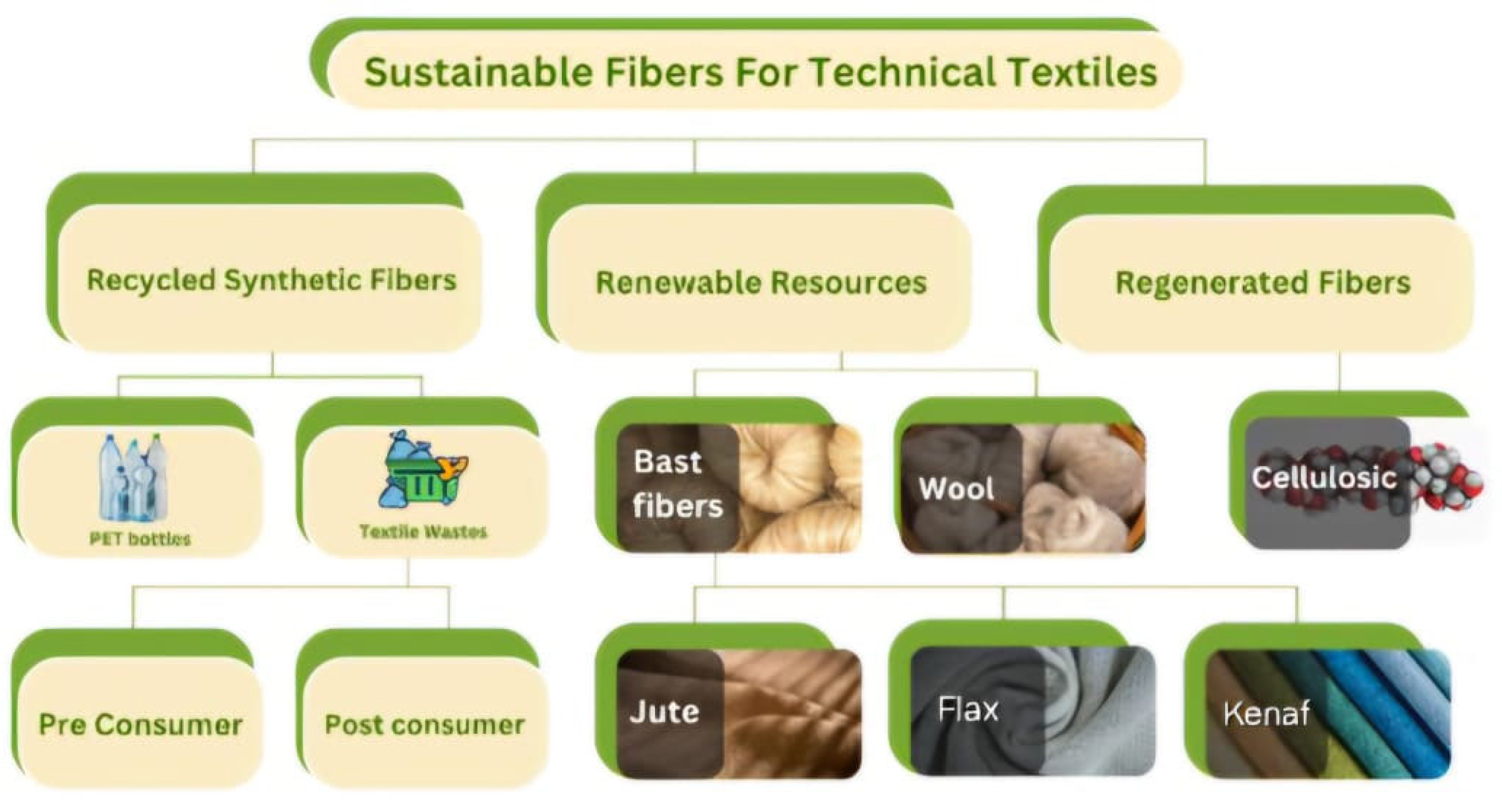 Preprints 185058 g001