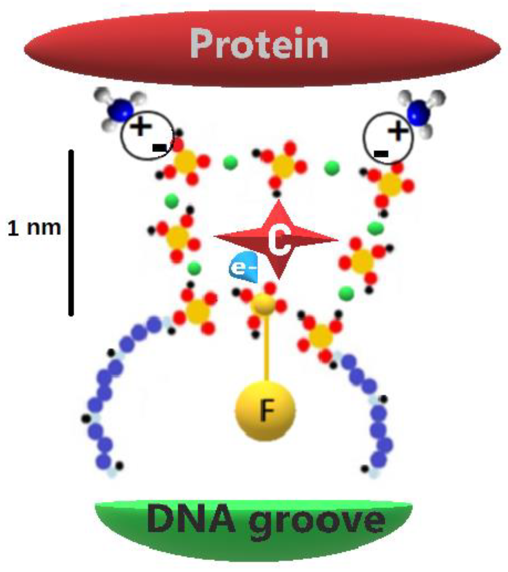 Preprints 153028 g004