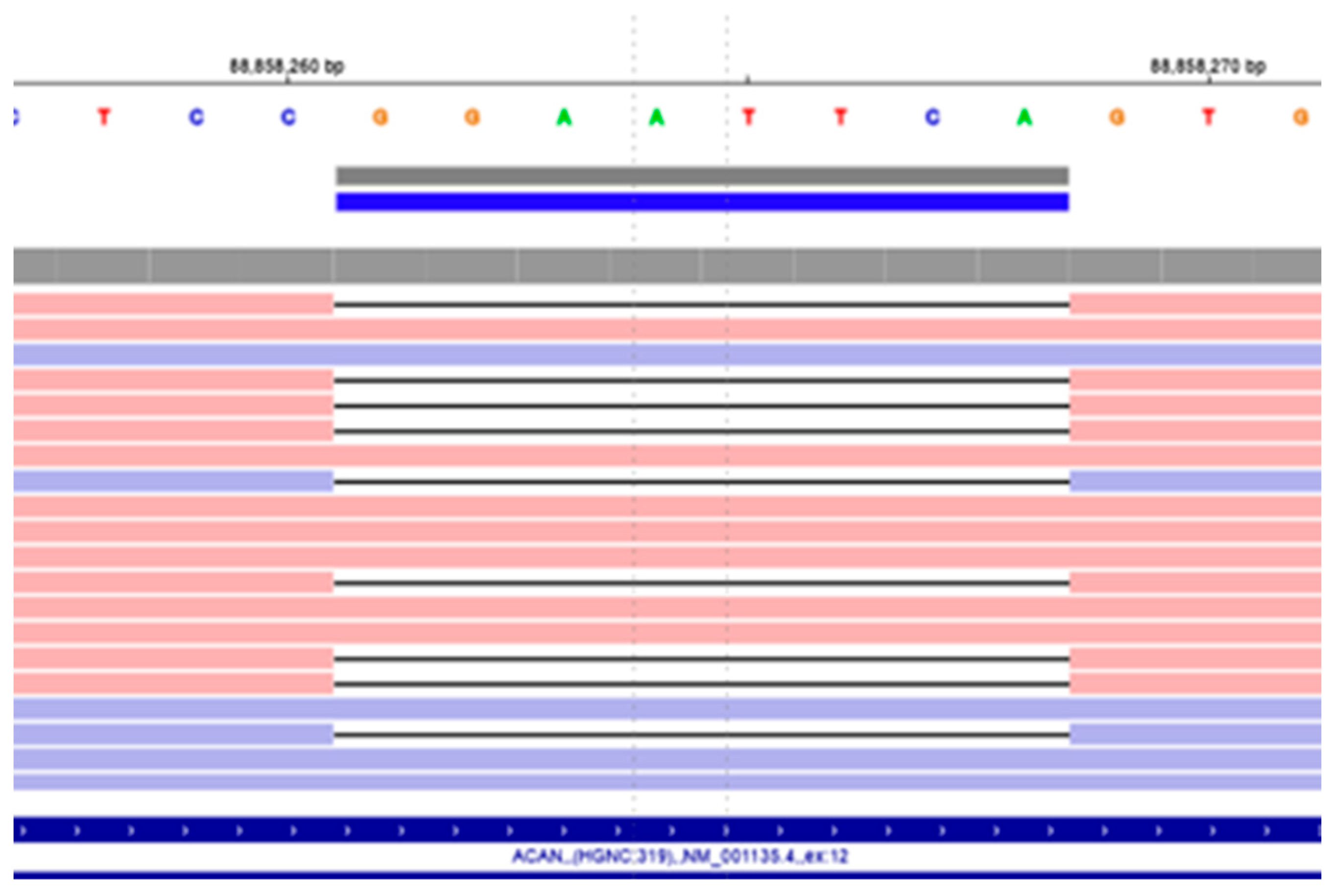 Preprints 198778 g004