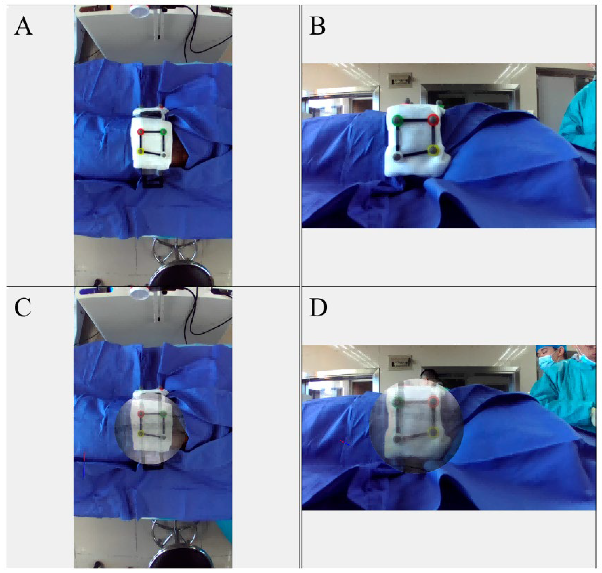 Preprints 180446 g002
