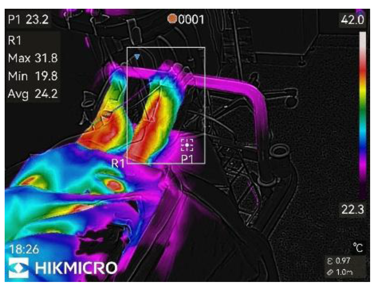Preprints 176577 g002