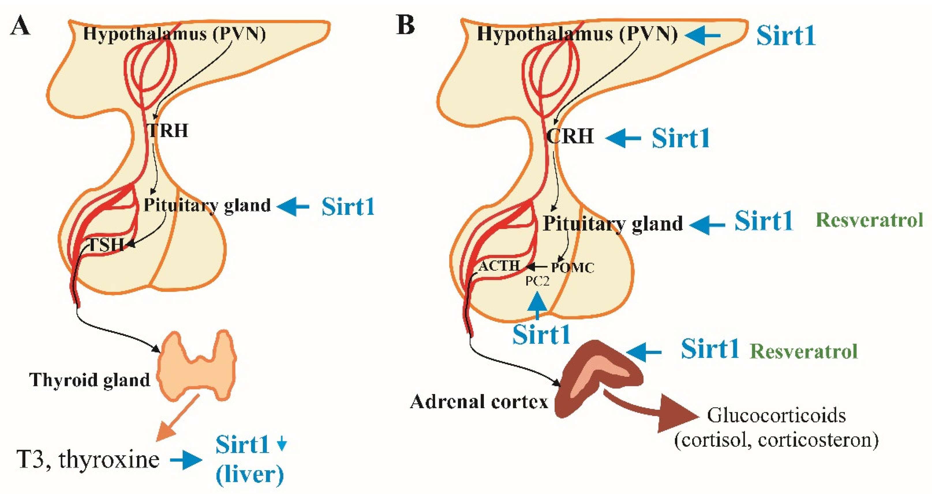 Preprints 120588 g001