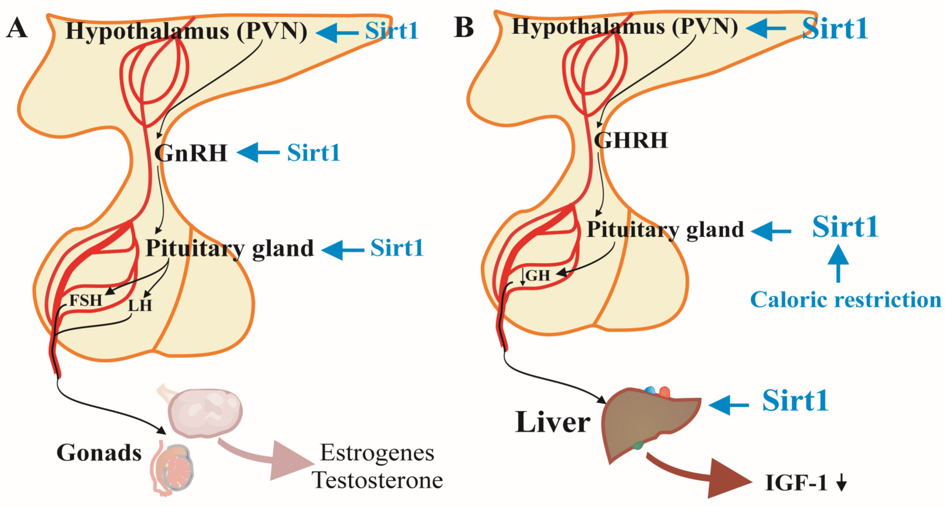 Preprints 120588 g002