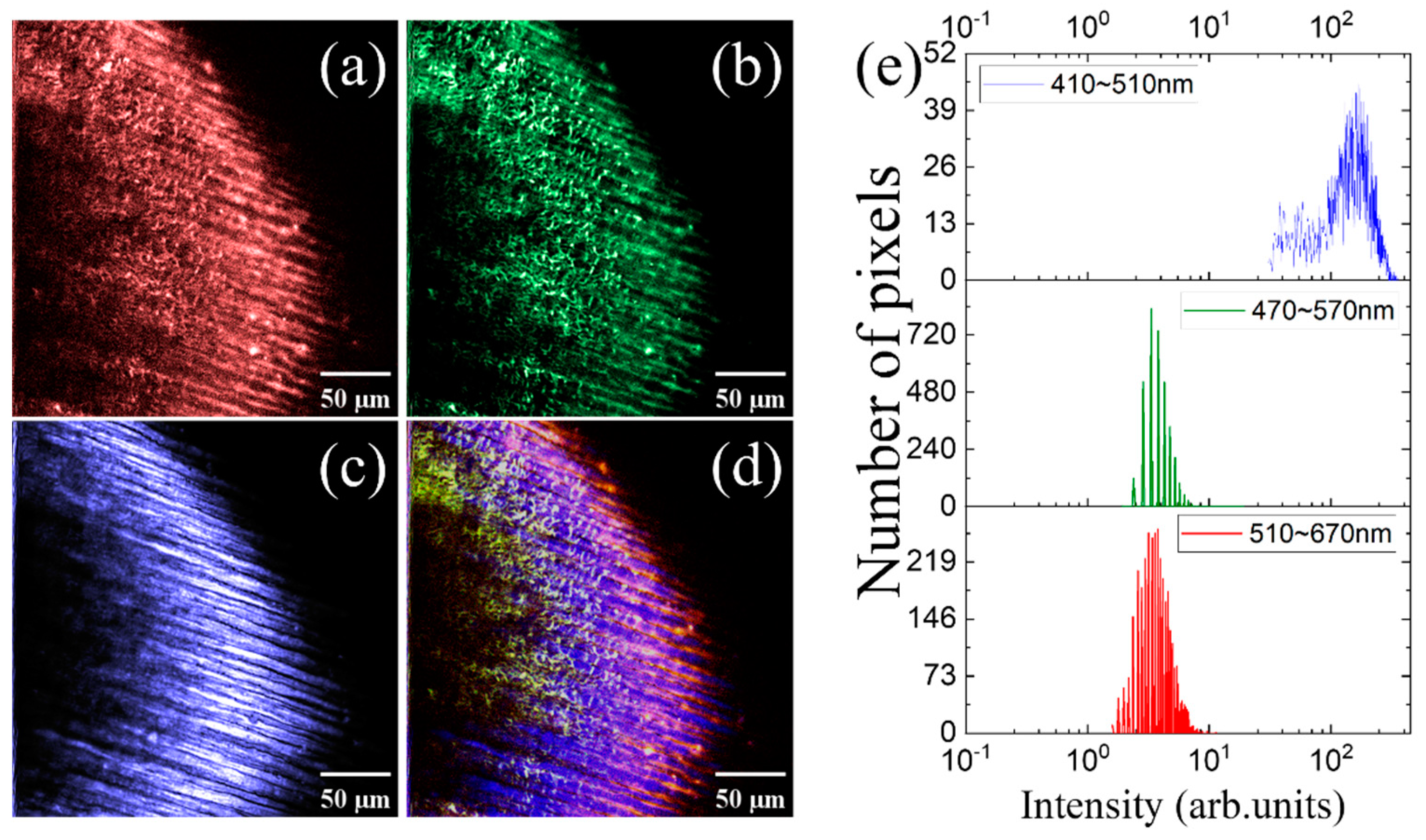 Preprints 91678 g002