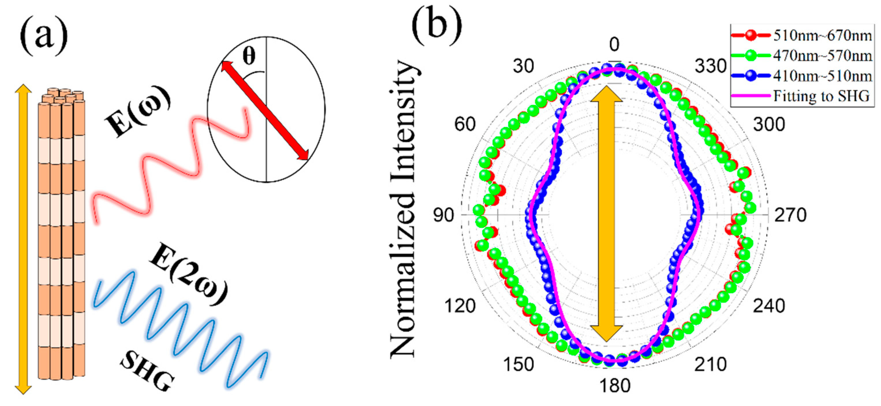 Preprints 91678 g004