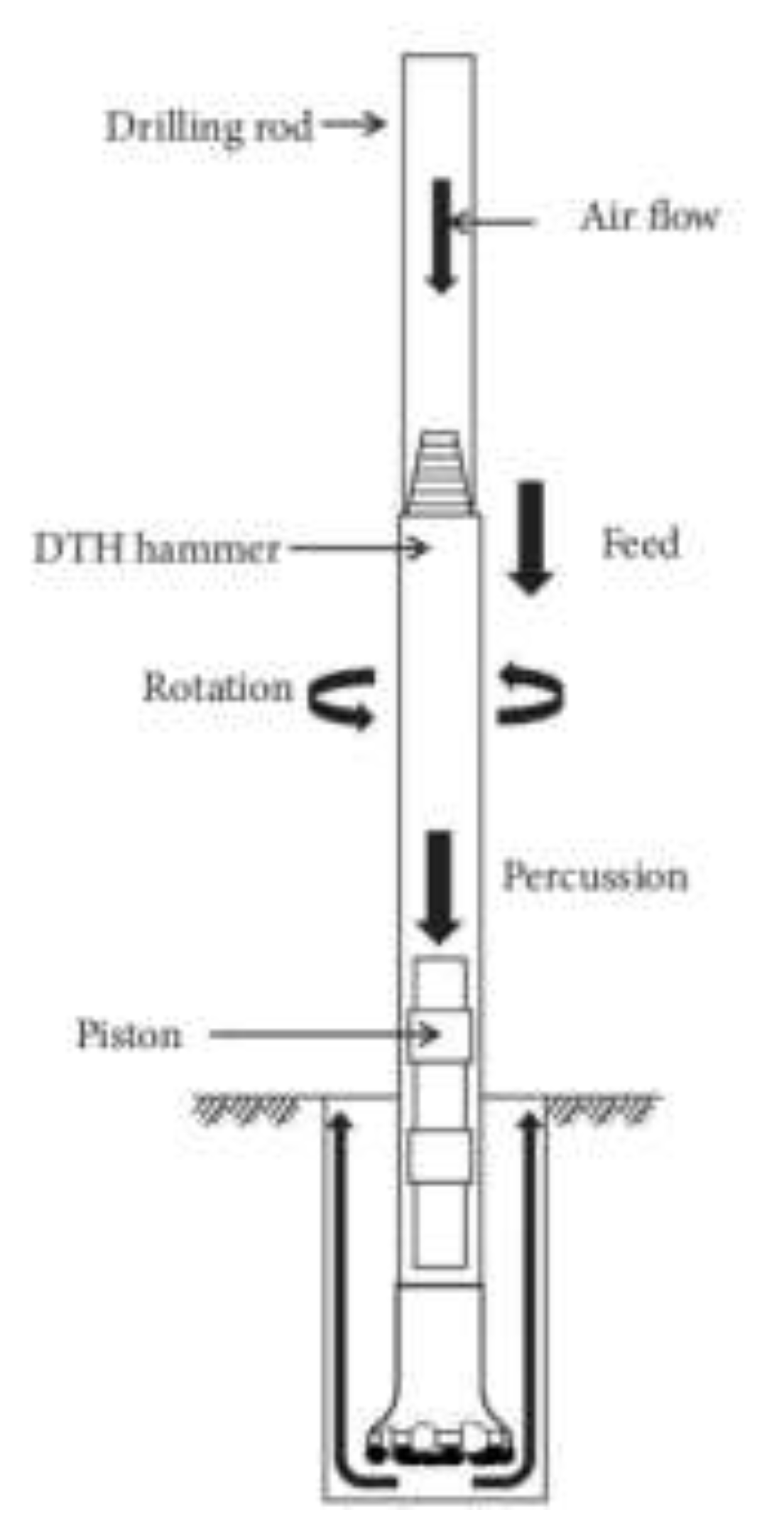 Preprints 138831 g002