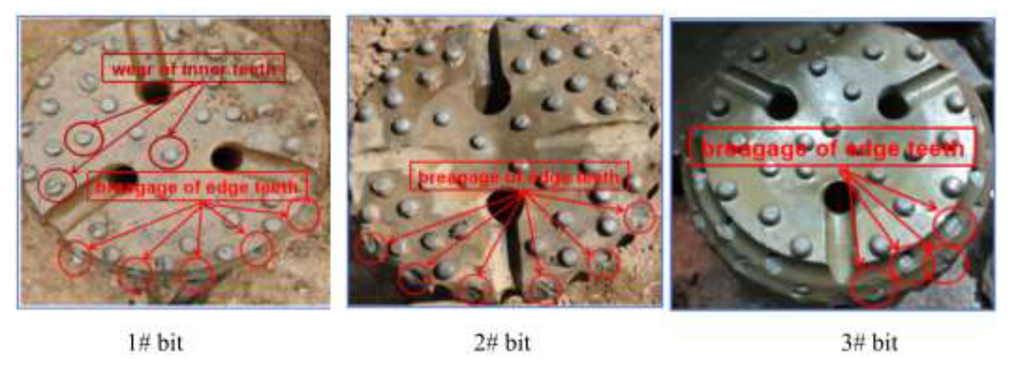 Preprints 138831 g003