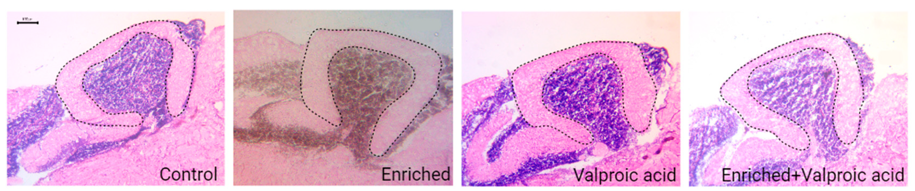 Preprints 101992 g004