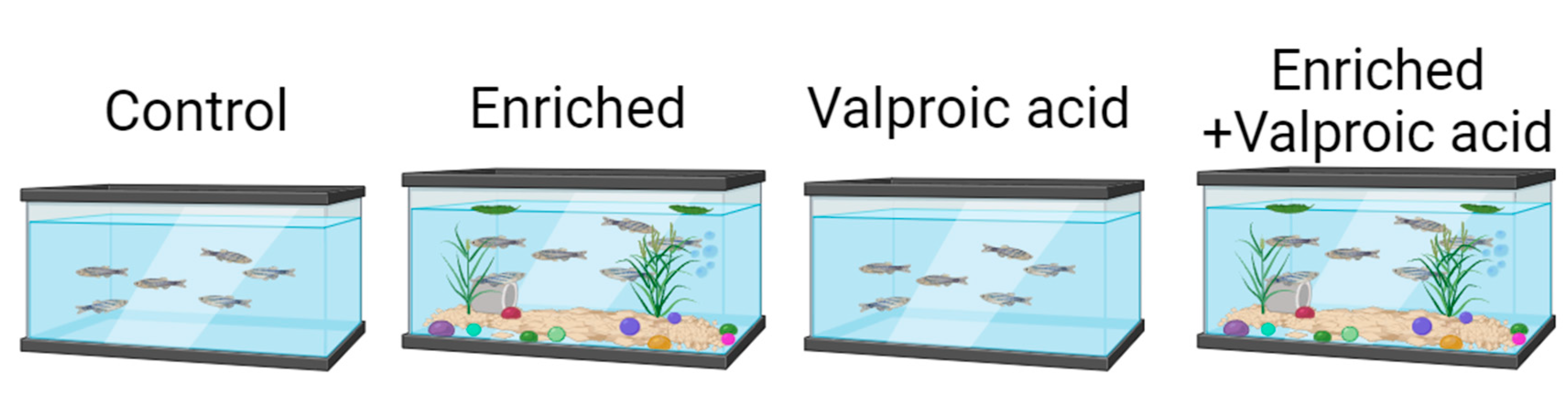 Preprints 101992 g007