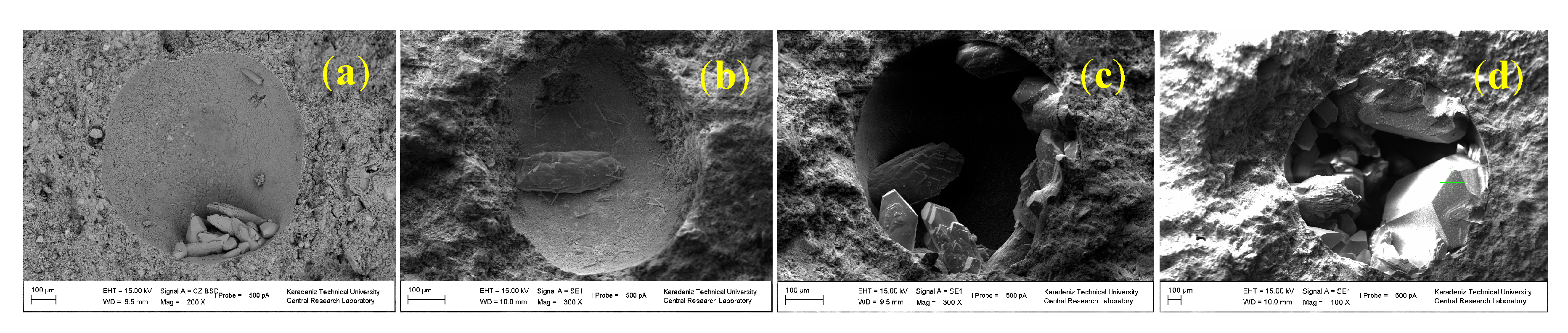 Preprints 89419 g006