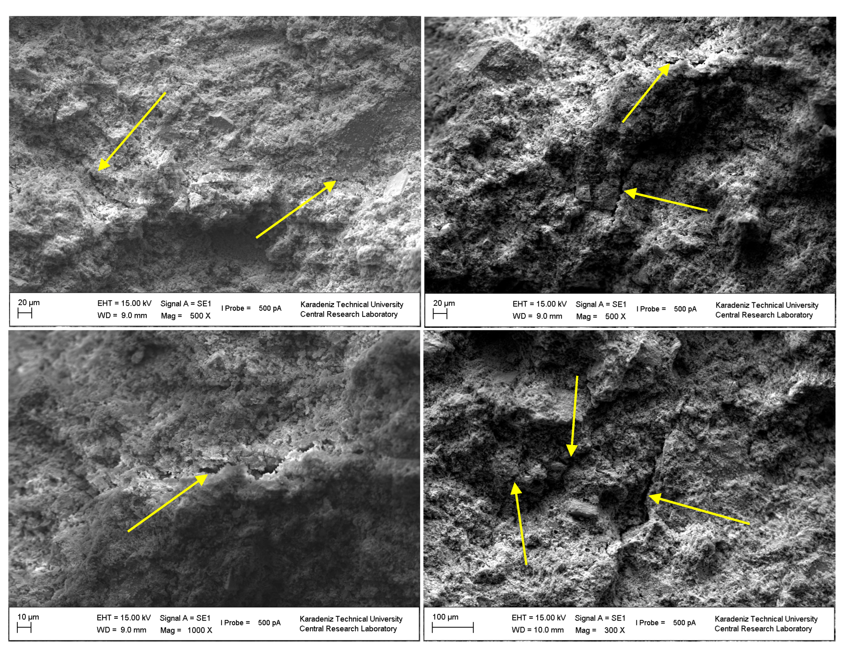 Preprints 89419 g010