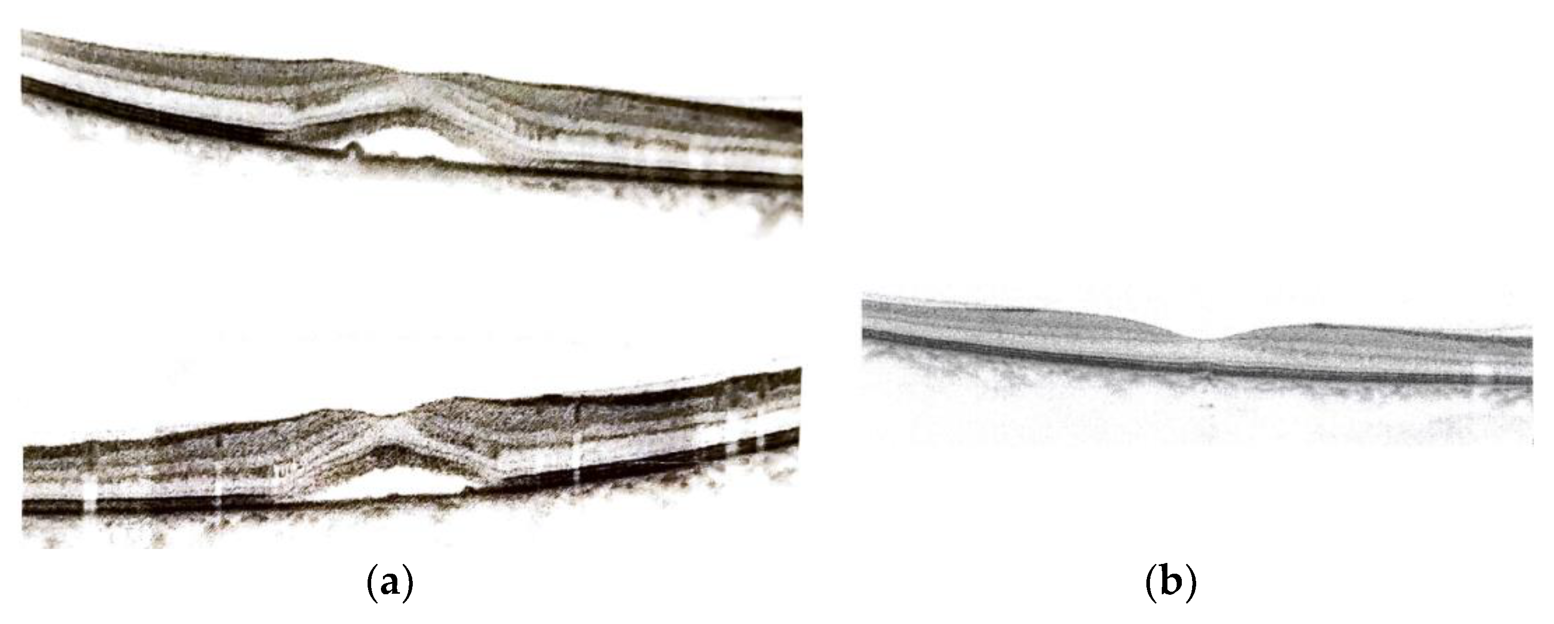 Preprints 143603 g001