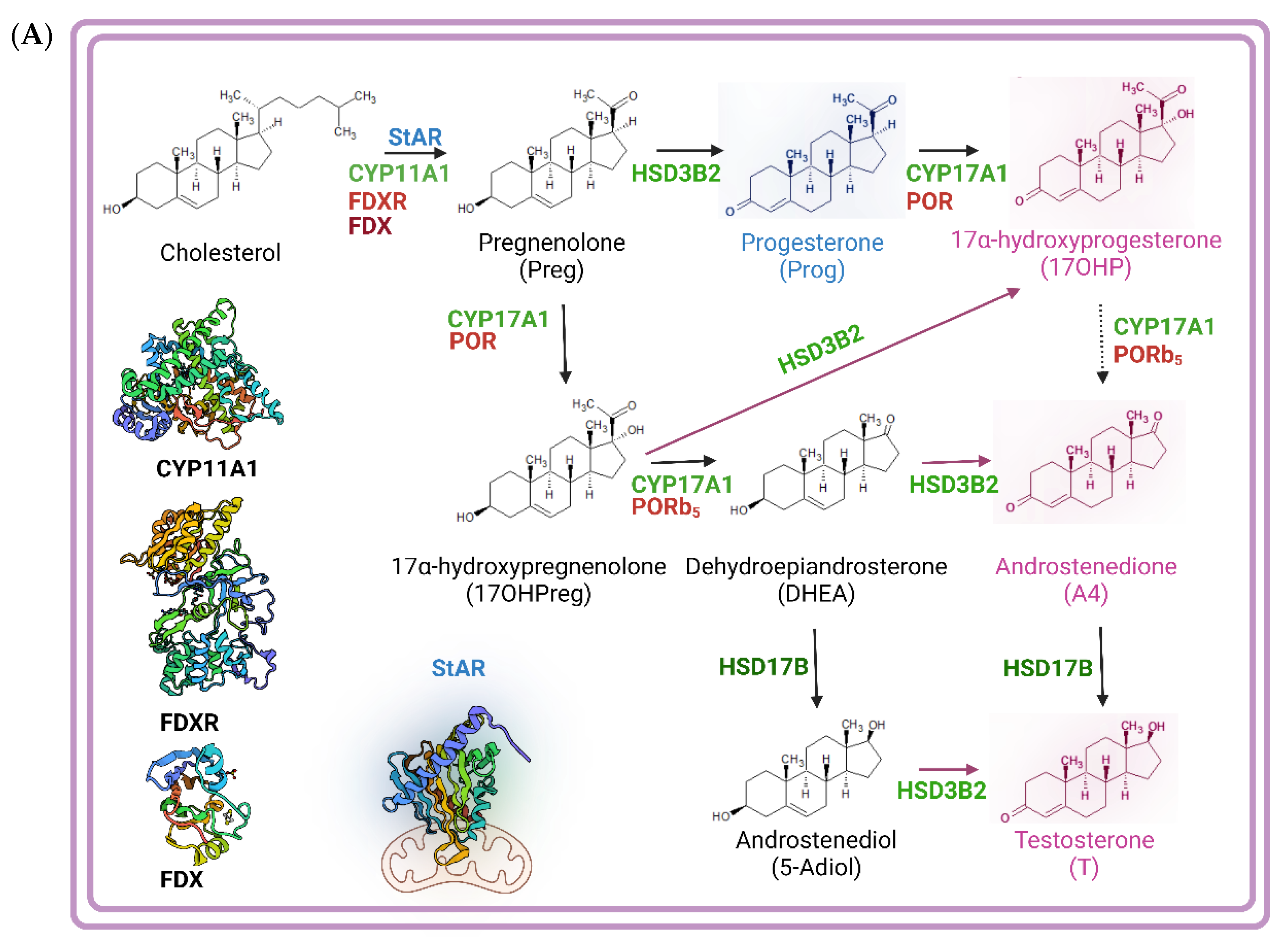 Preprints 143603 g003a