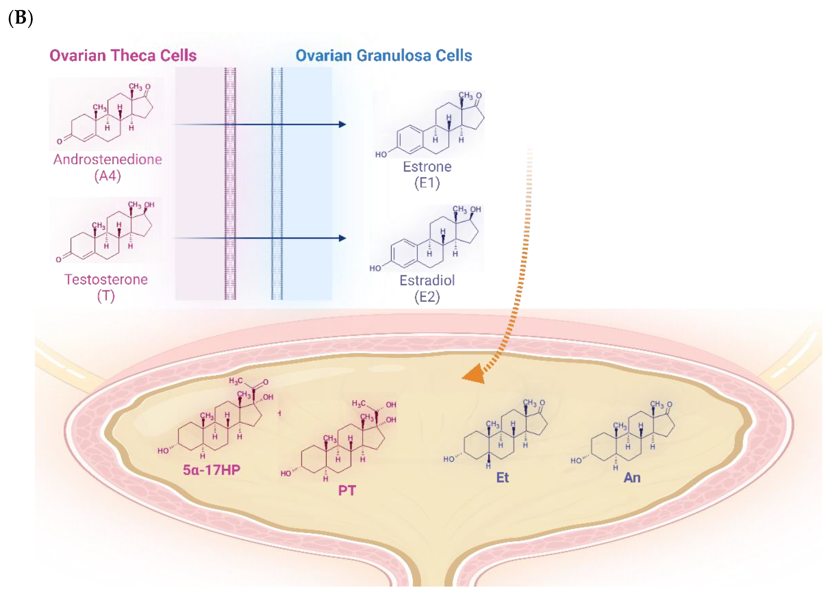 Preprints 143603 g003b