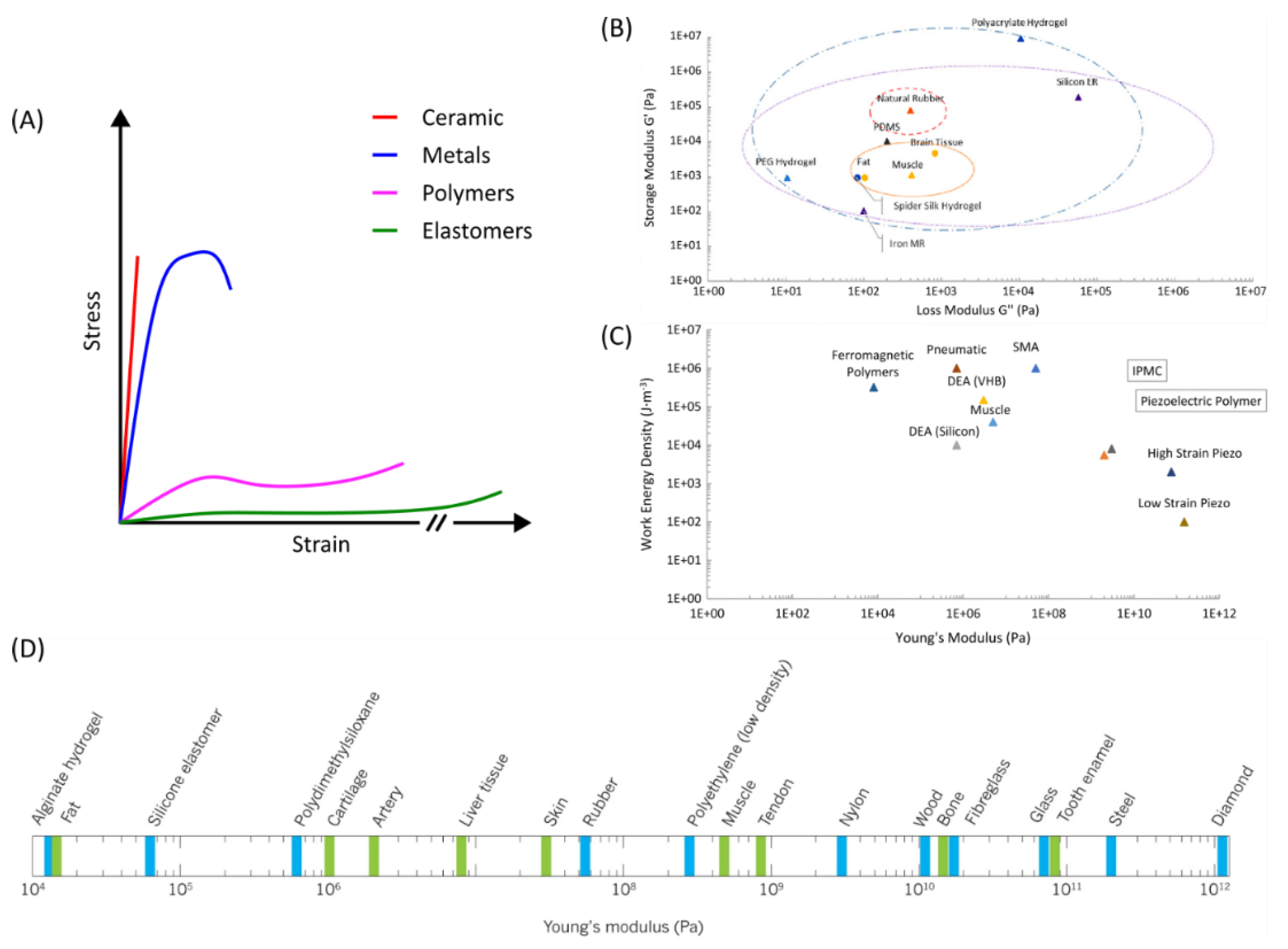 Preprints 150499 g003