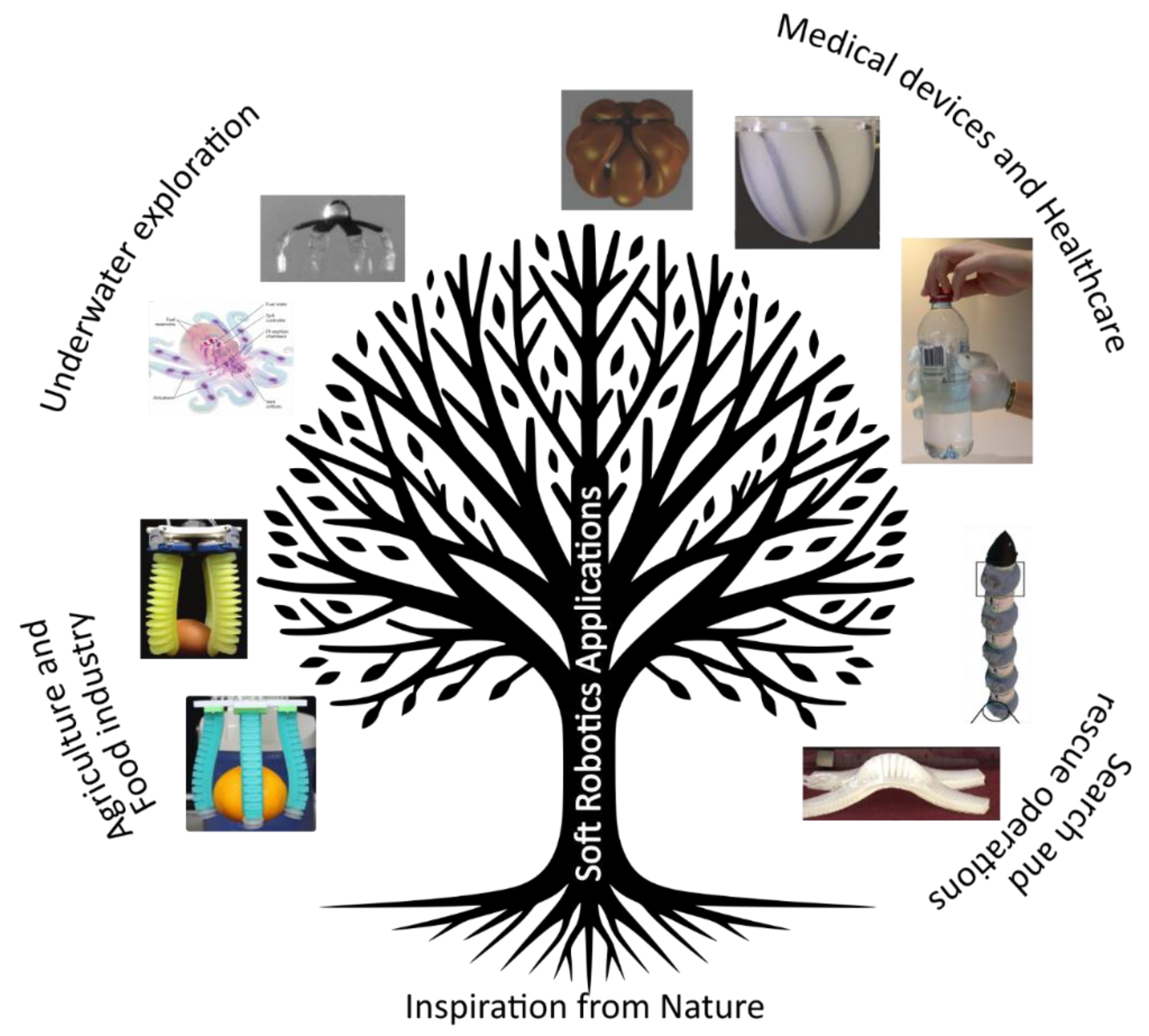 Preprints 150499 g007