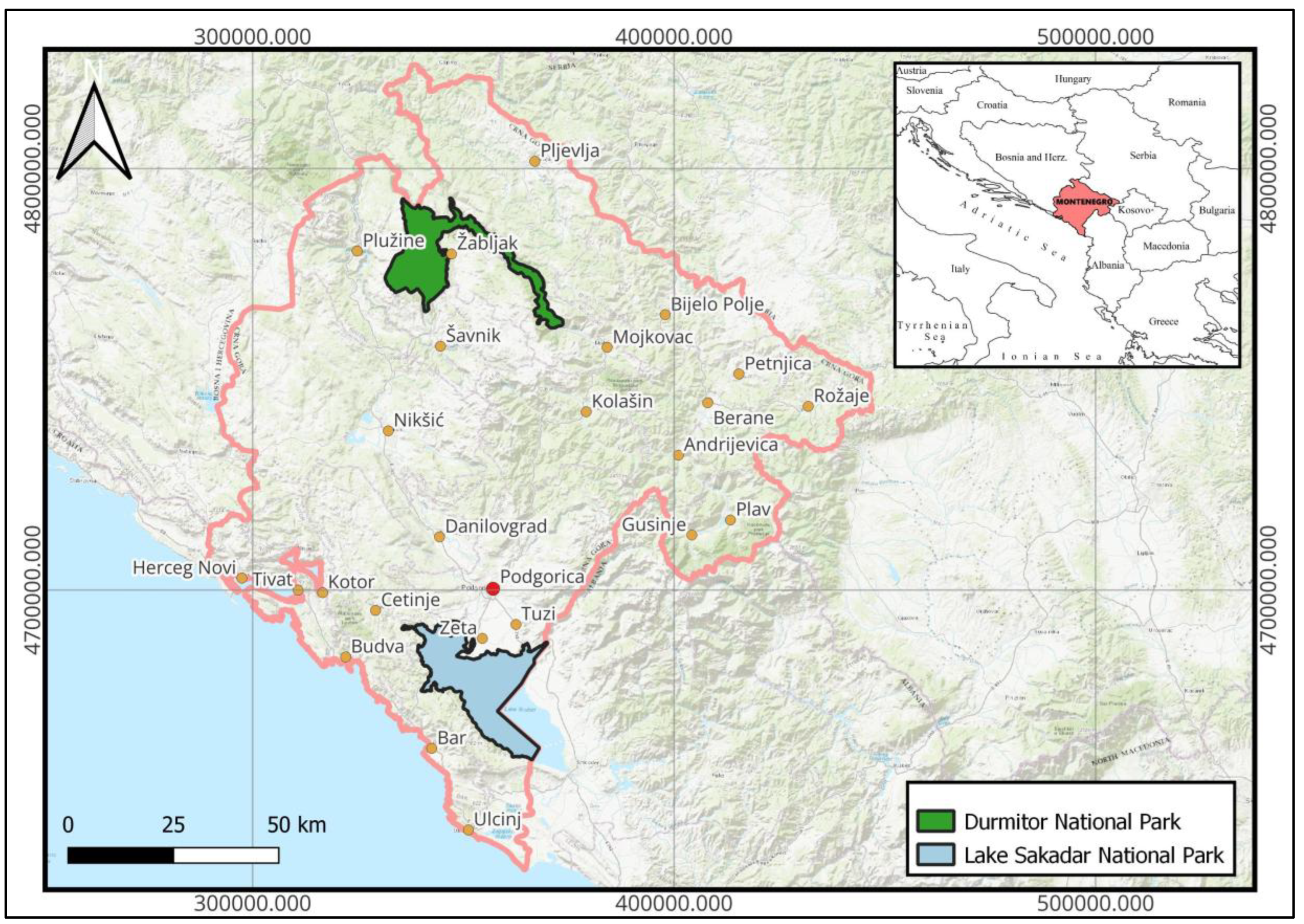 Preprints 149974 g001