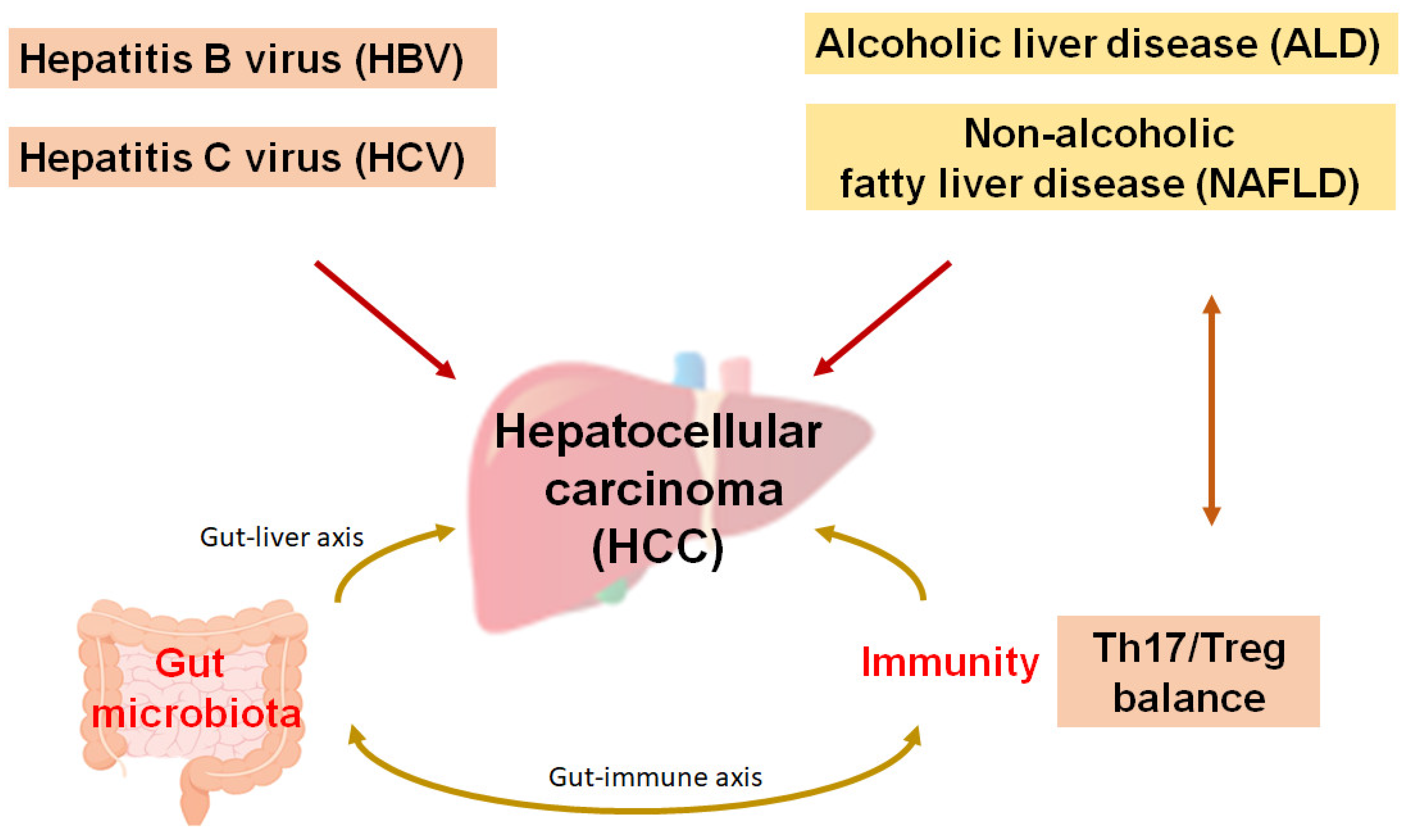 Preprints 139755 g001