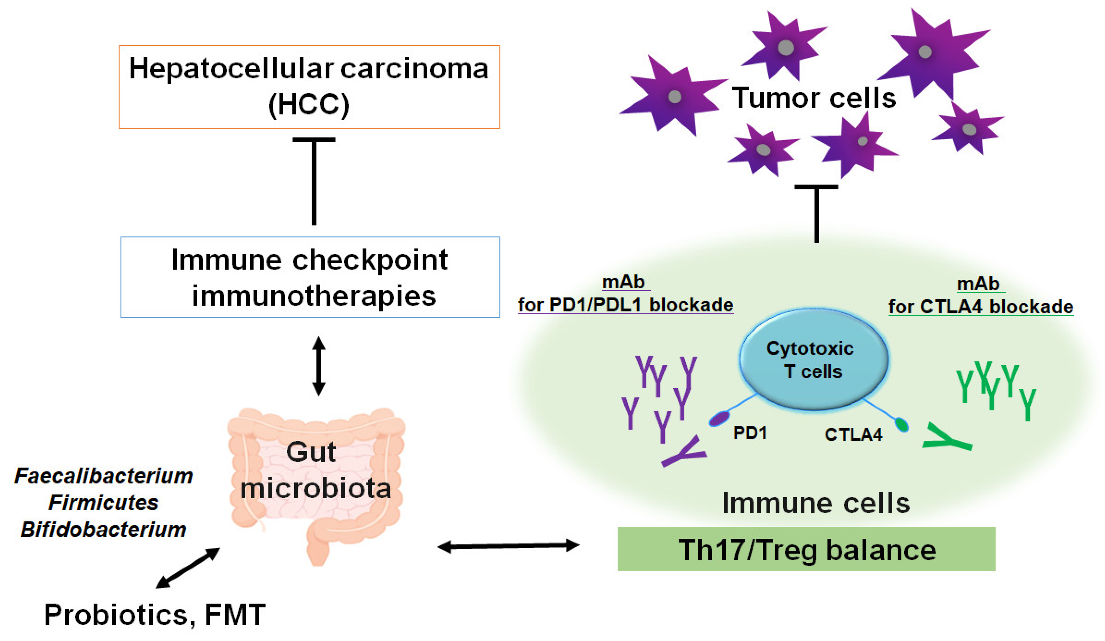Preprints 139755 g002