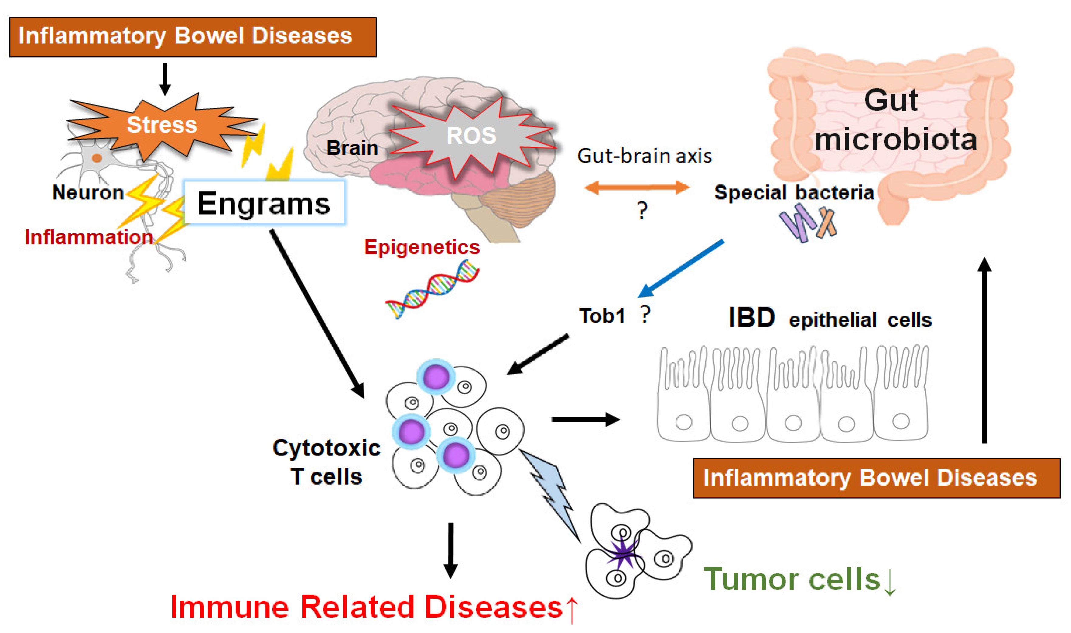 Preprints 139755 g003