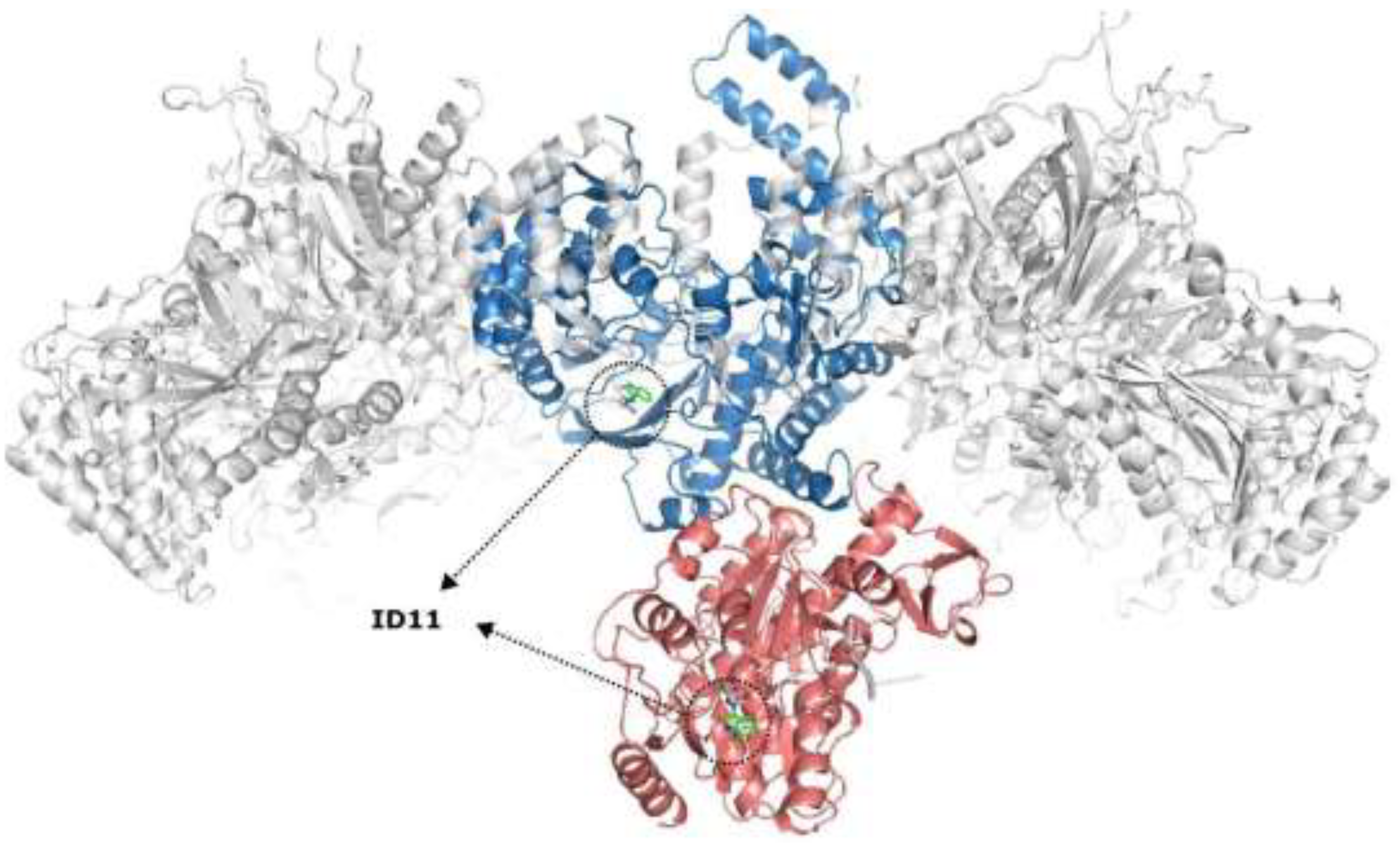 Preprints 195000 g007