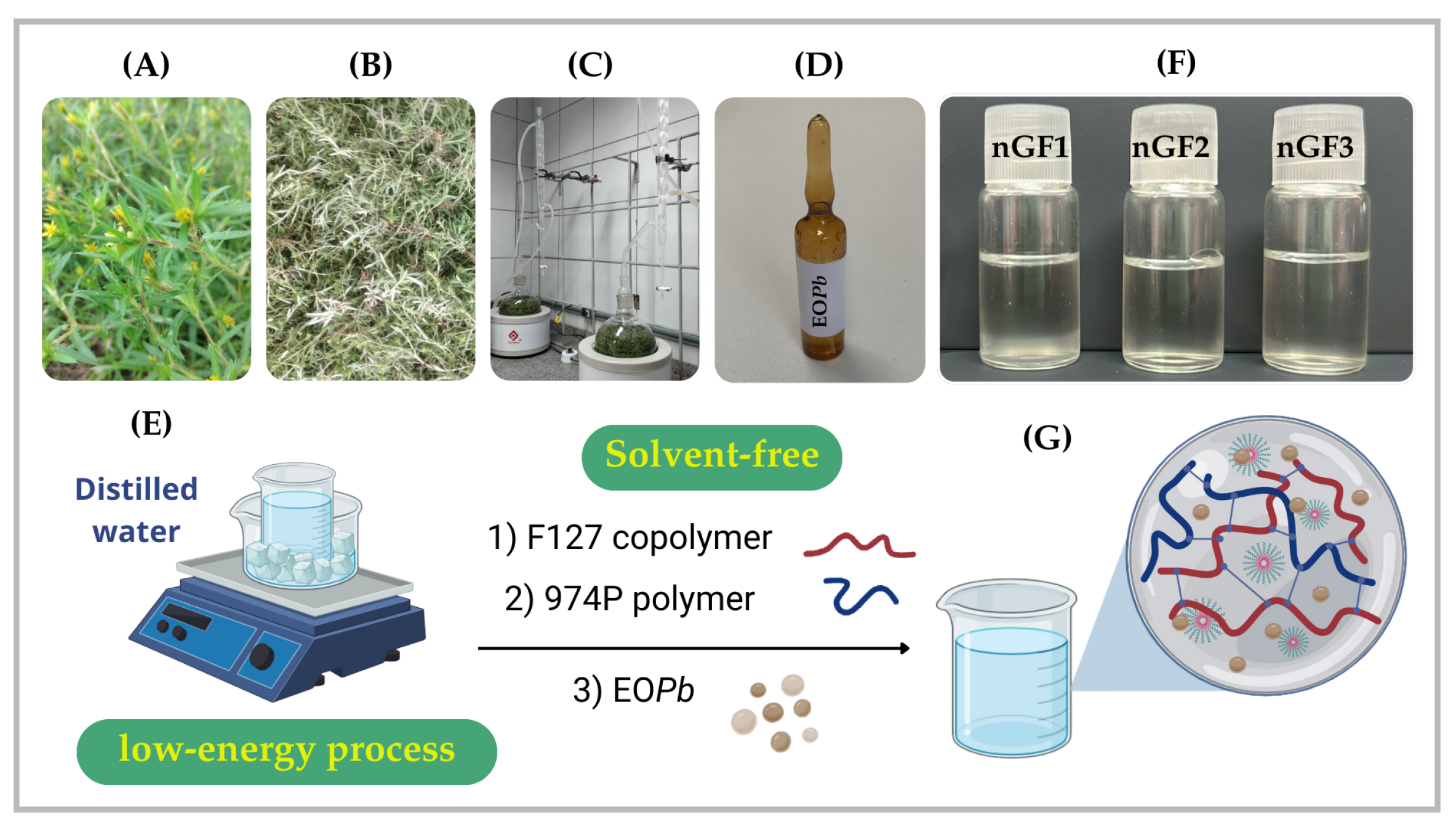Preprints 144416 g001