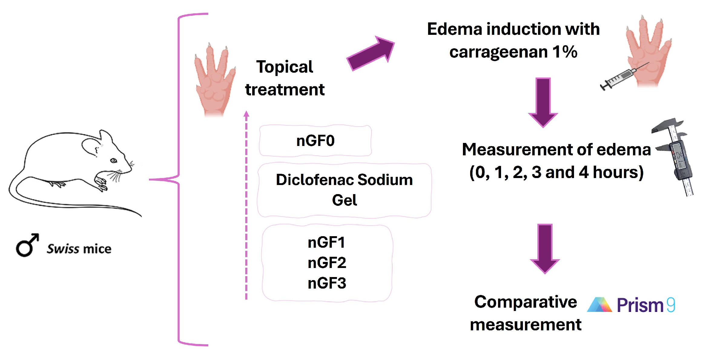 Preprints 144416 g002