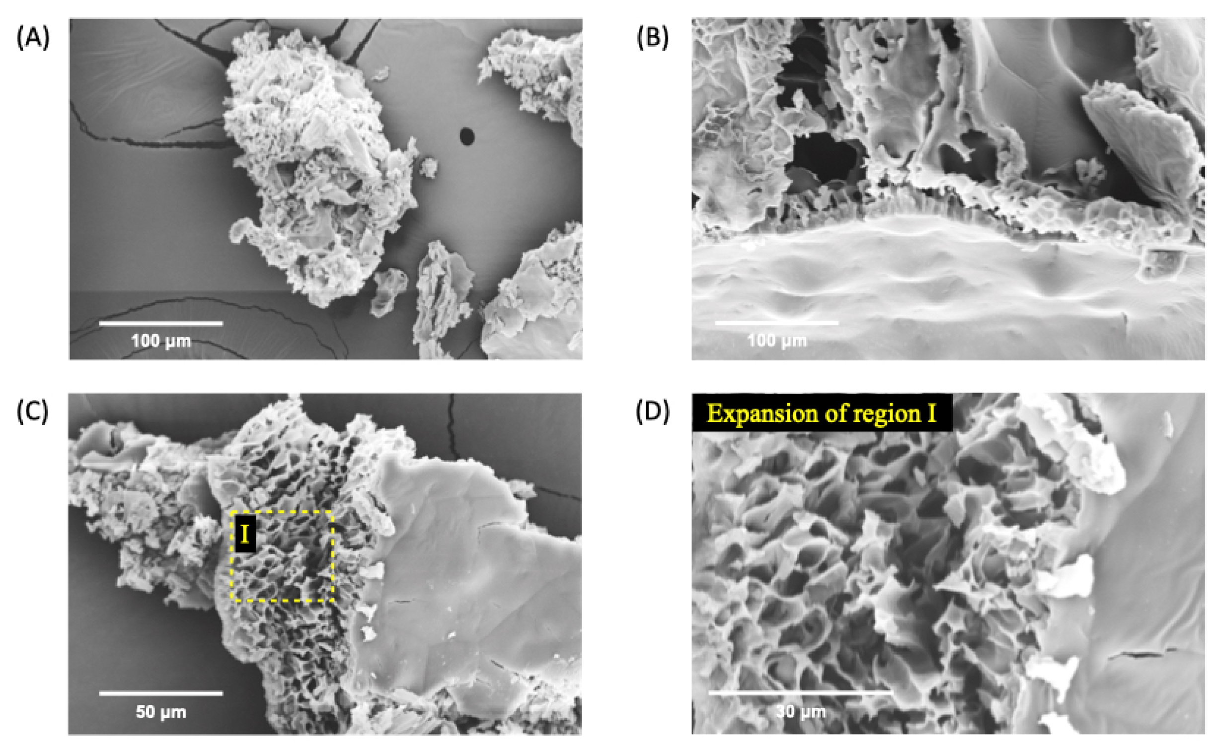 Preprints 144416 g003
