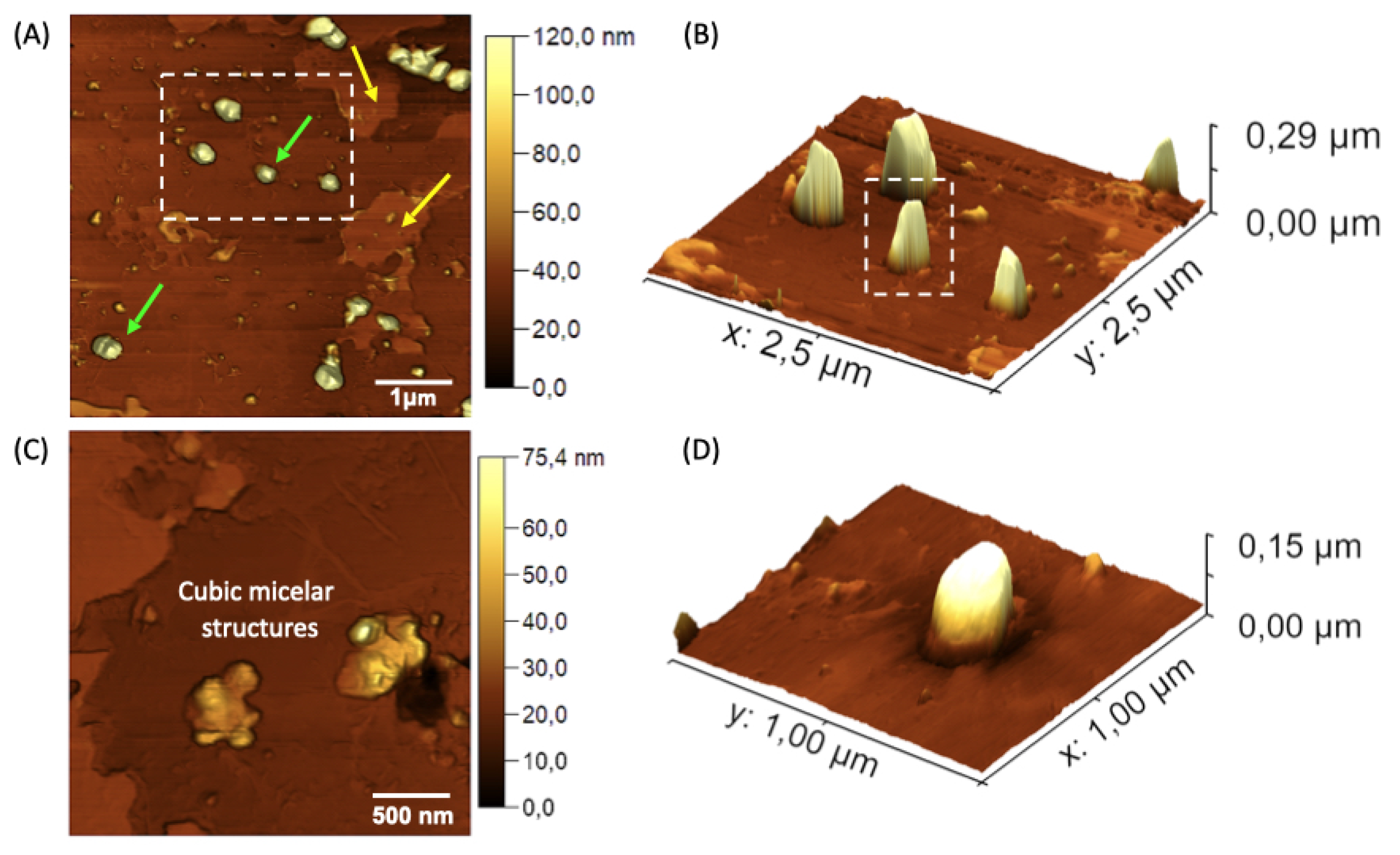Preprints 144416 g006