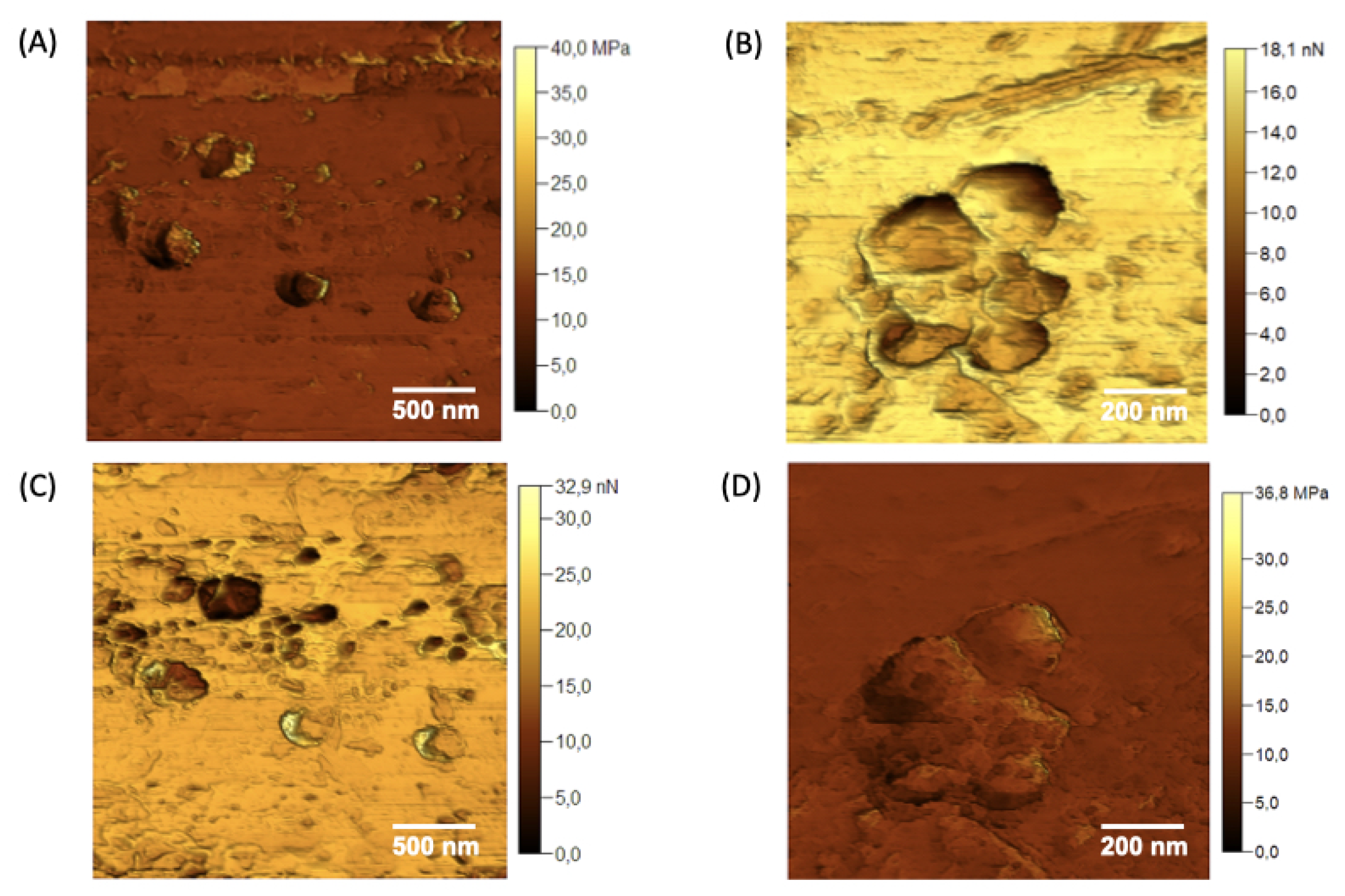 Preprints 144416 g007
