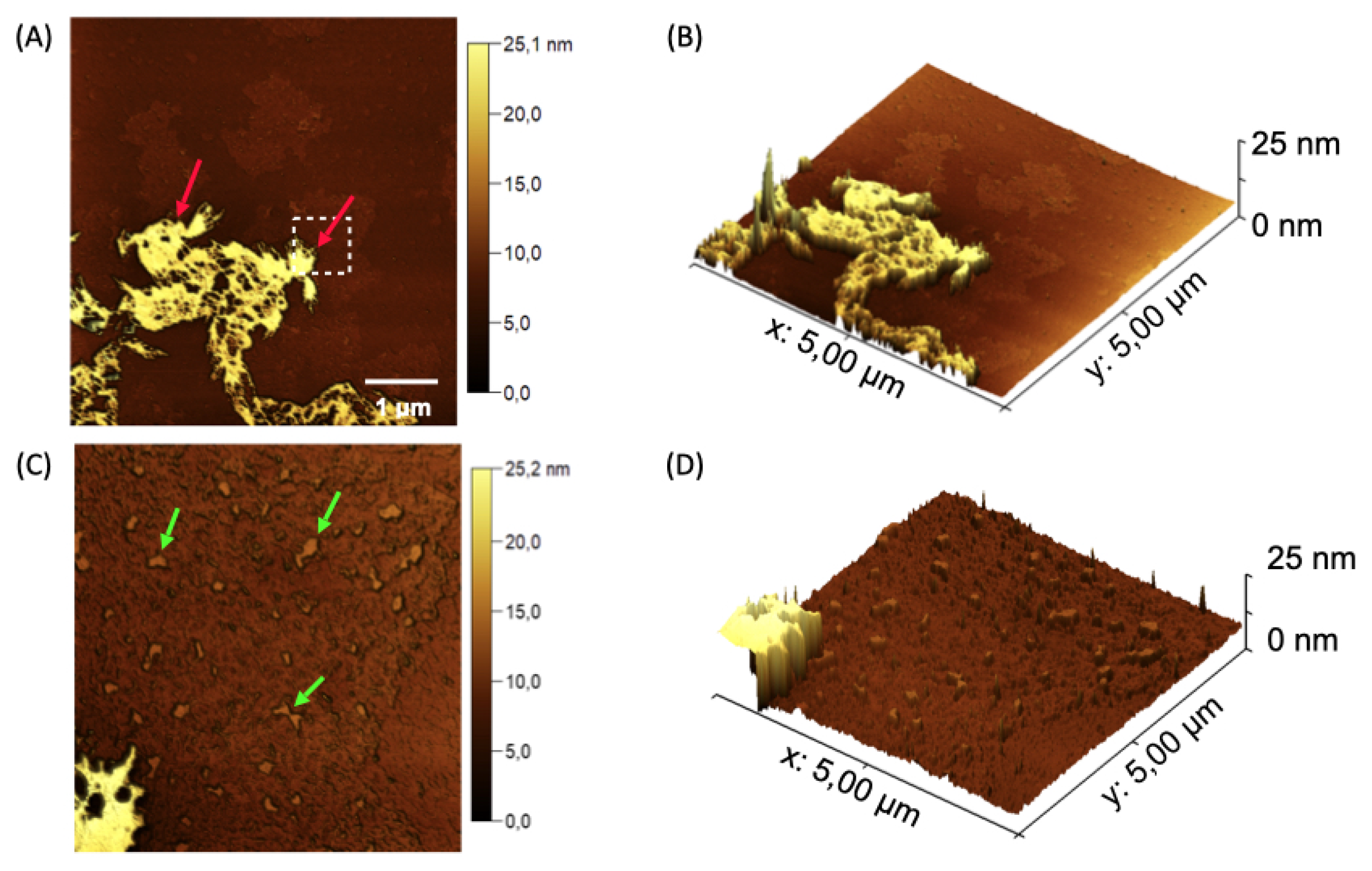Preprints 144416 g008