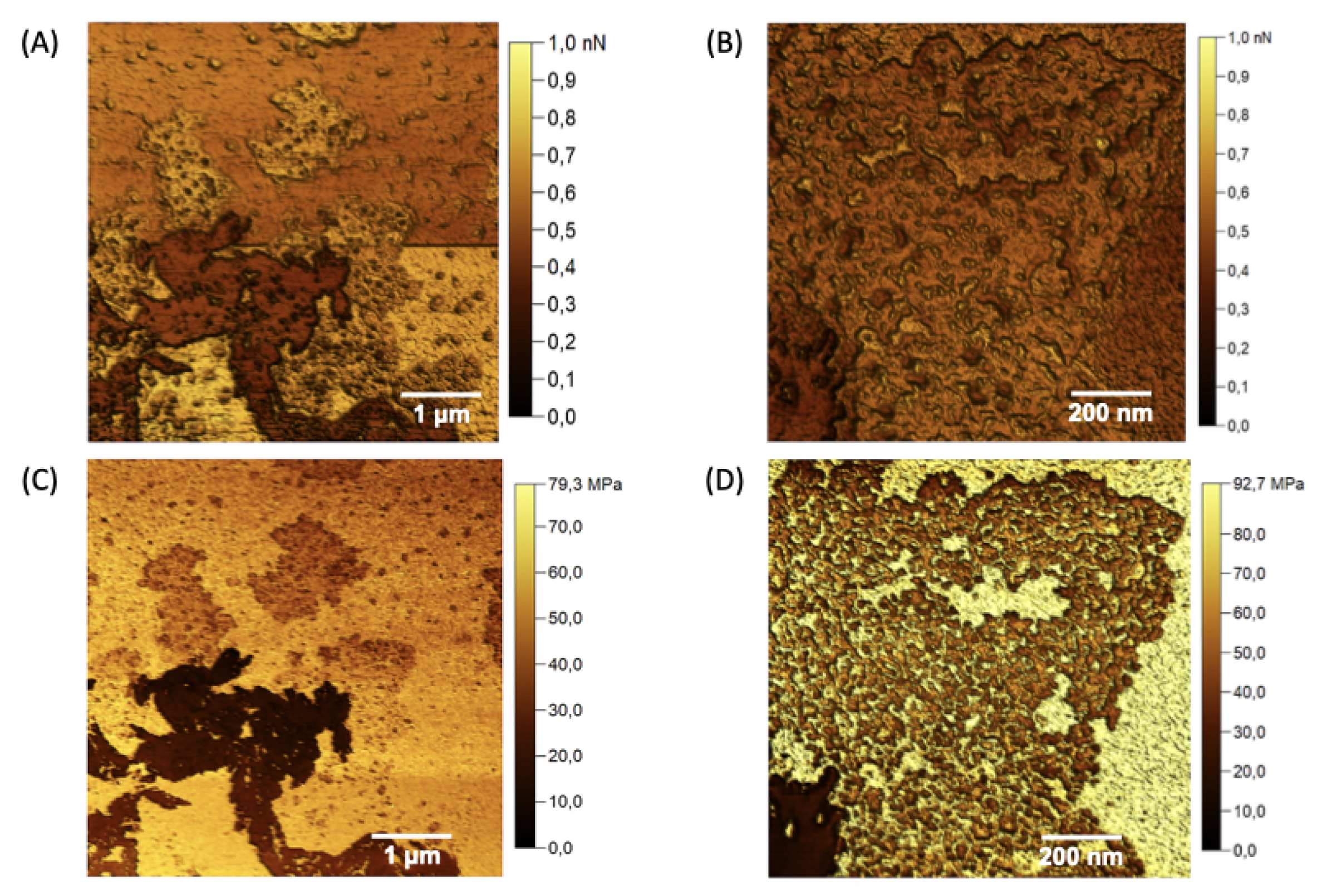 Preprints 144416 g009