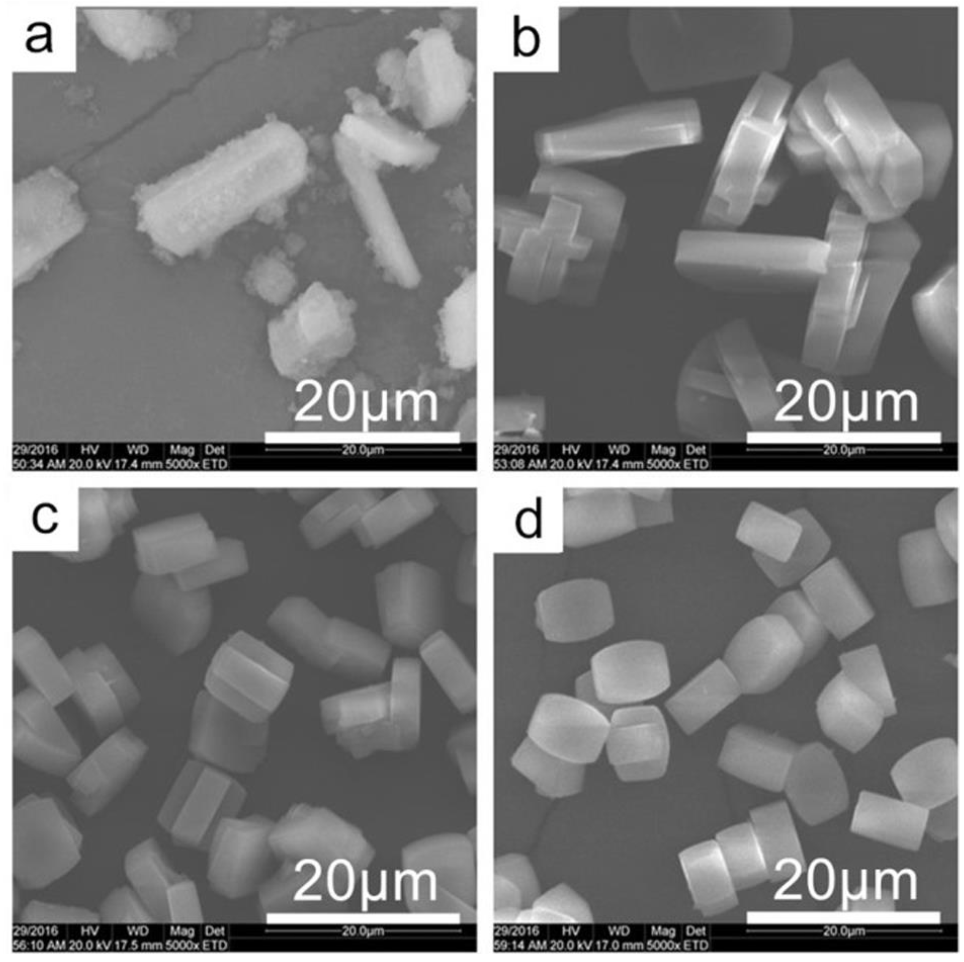 Preprints 78372 g002