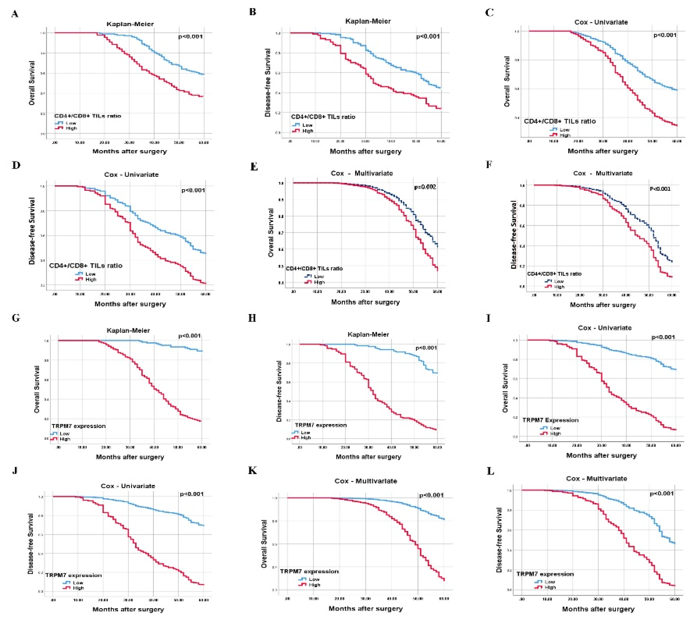 Preprints 191908 g005