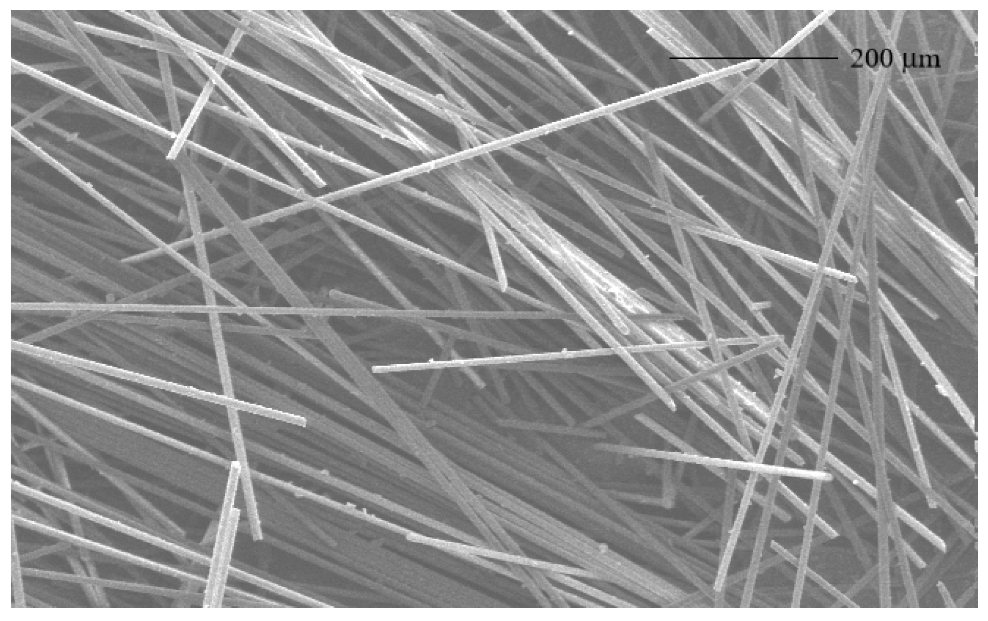 Preprints 90785 g002