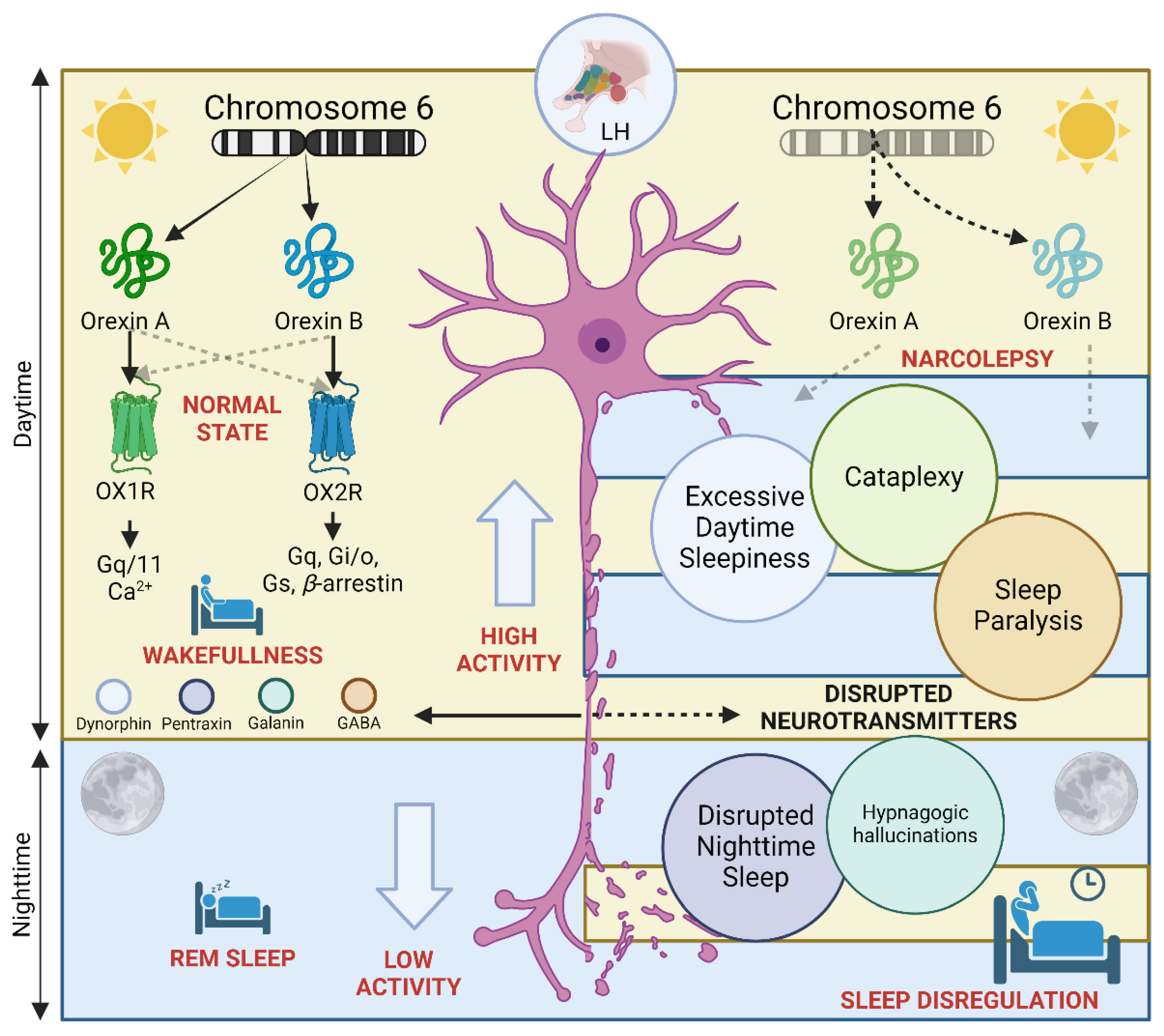 Preprints 179328 g001