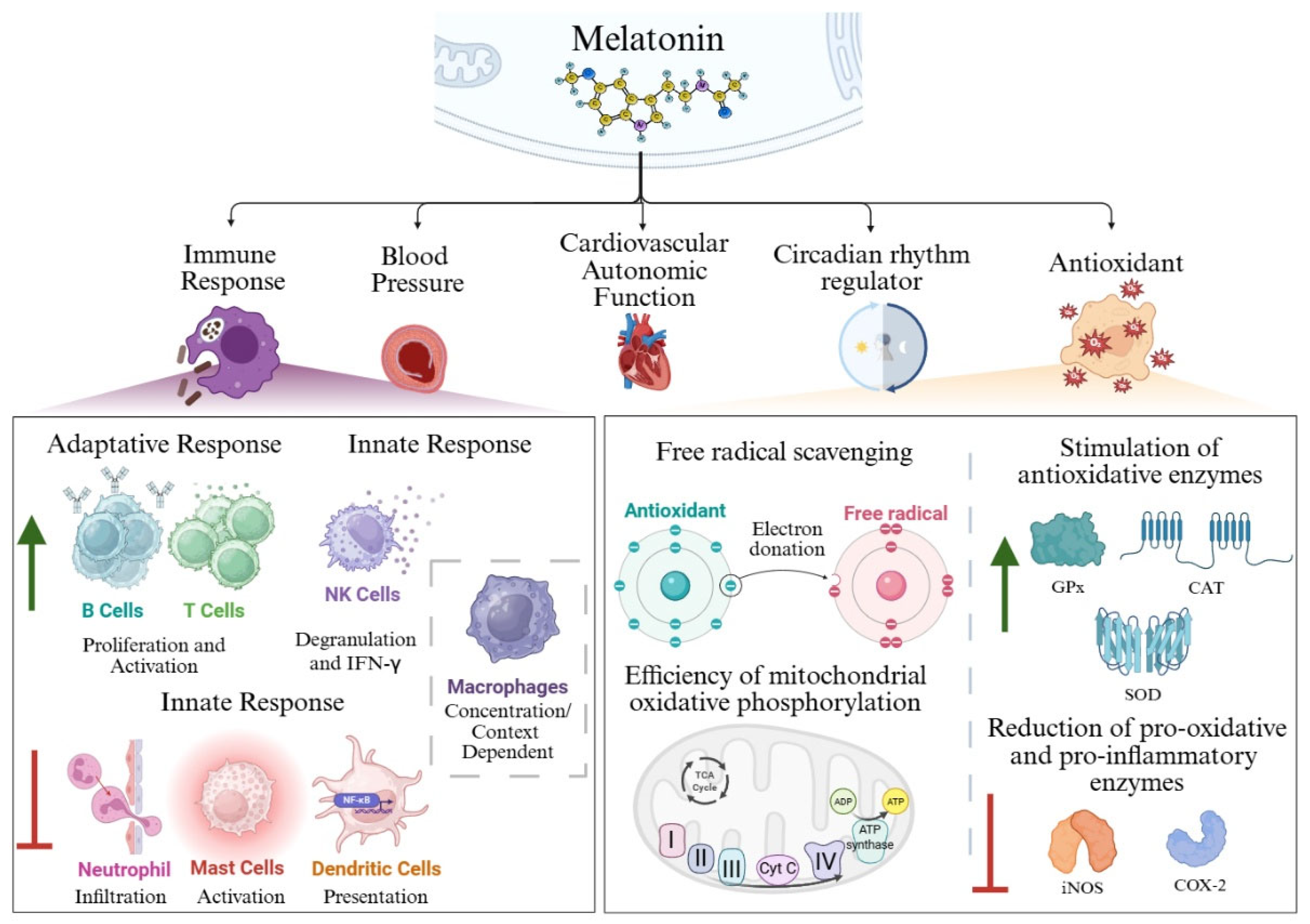 Preprints 185460 g001