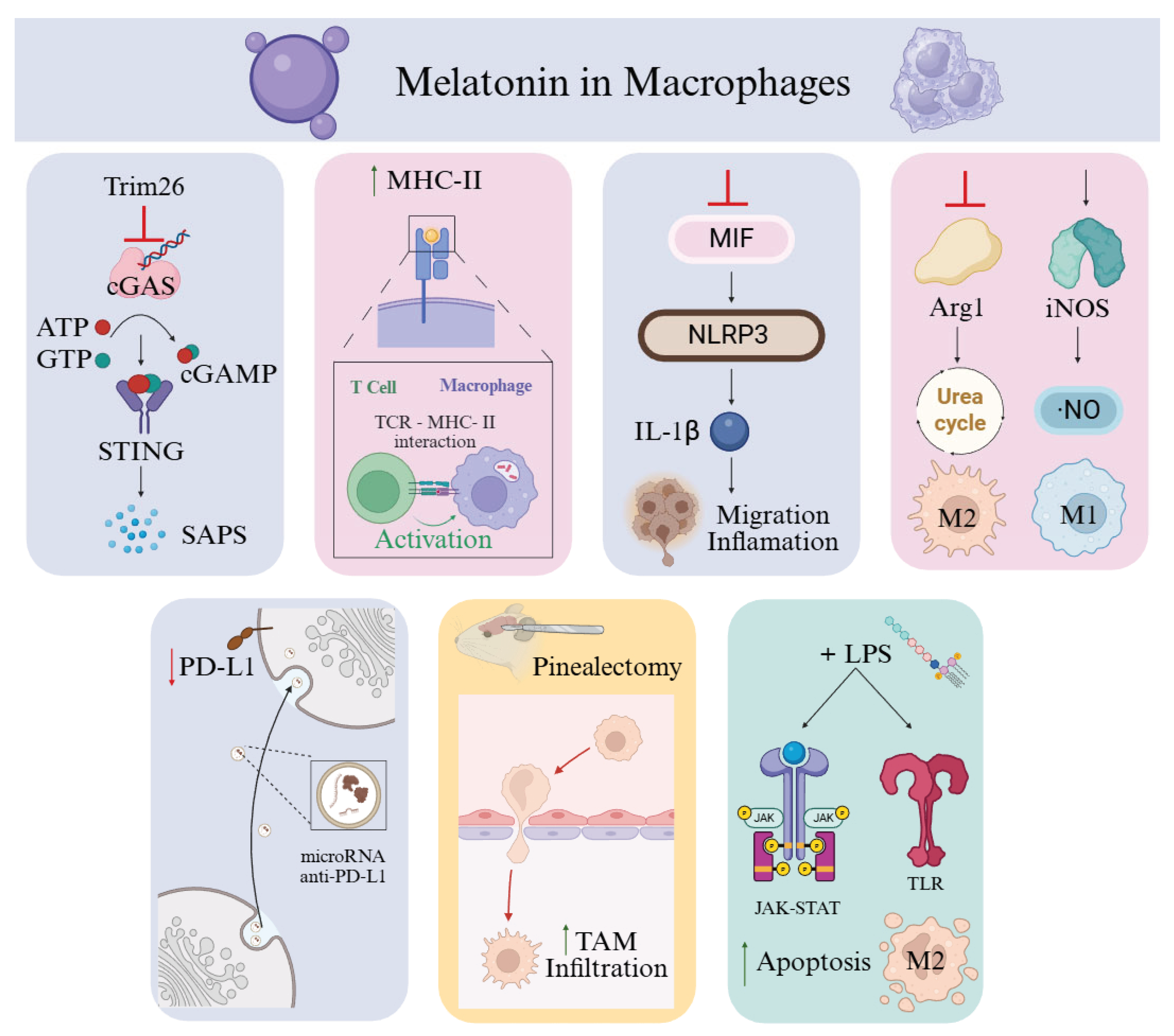Preprints 185460 g003