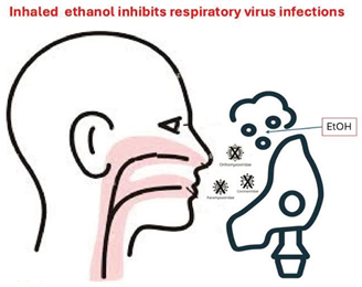 Preprints 146666 i001