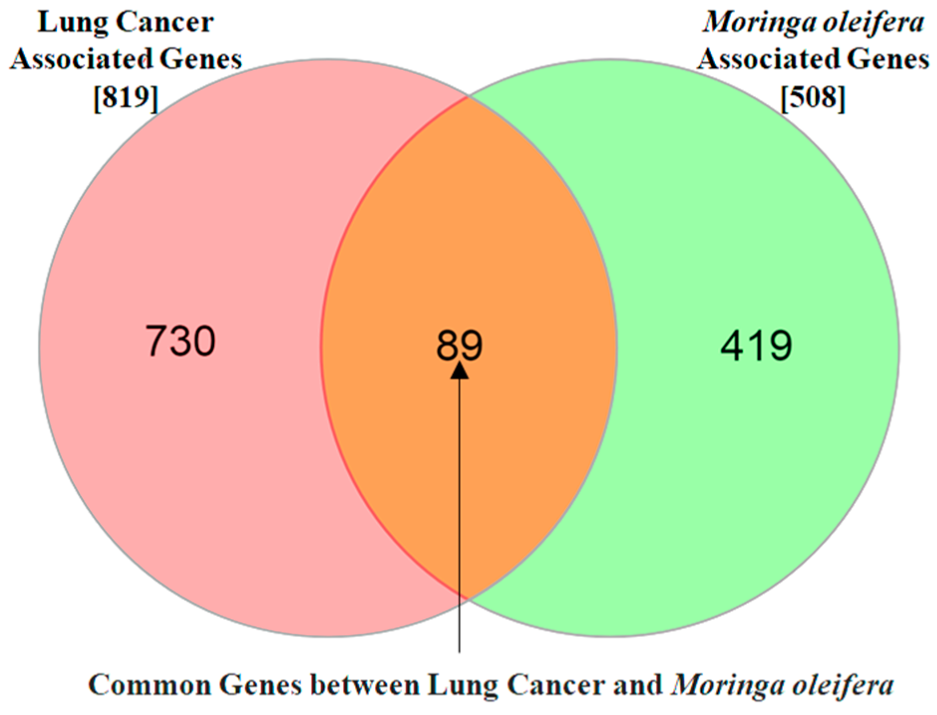 Preprints 154248 g003