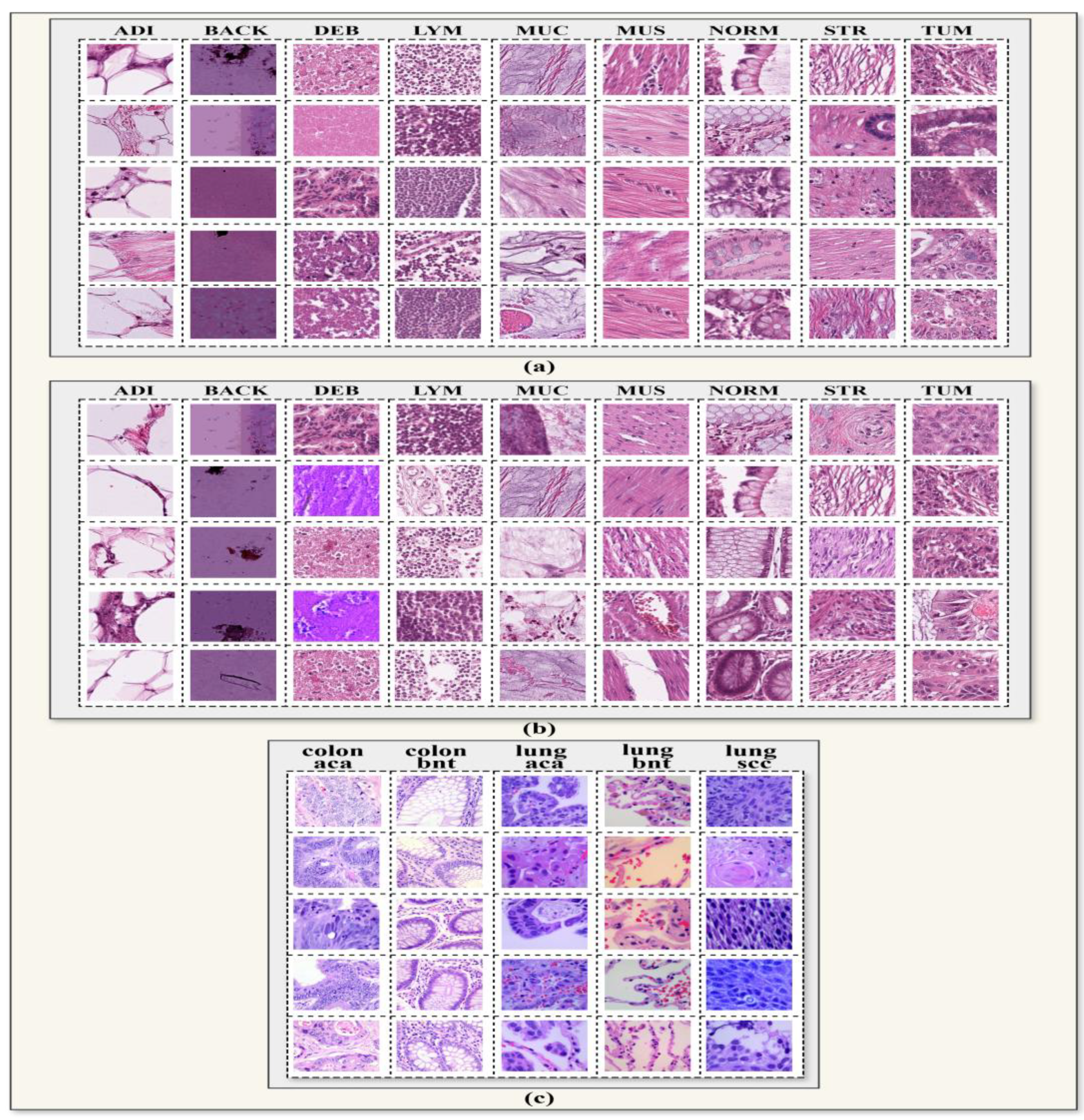 Preprints 189913 g002