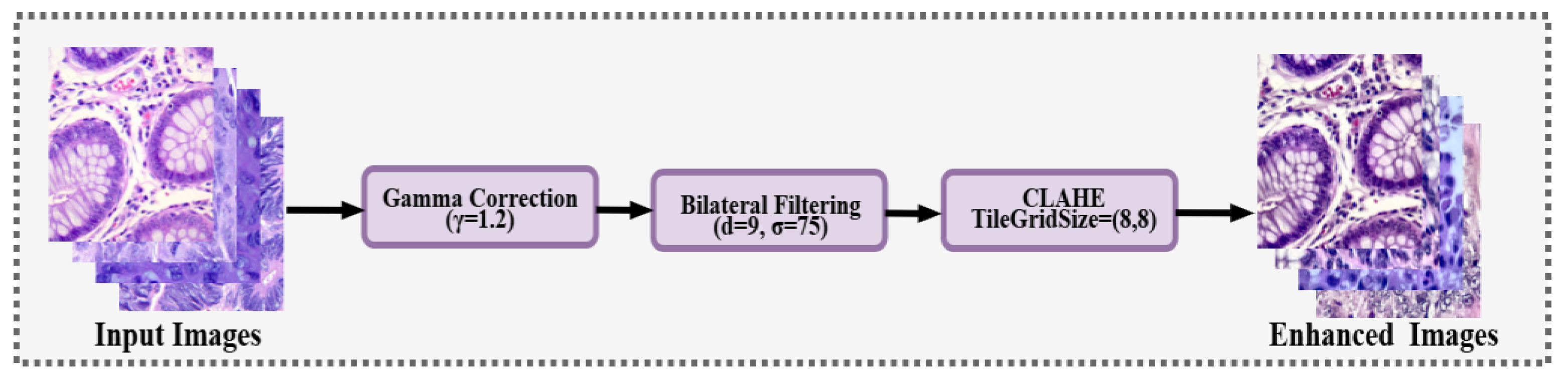 Preprints 189913 g003